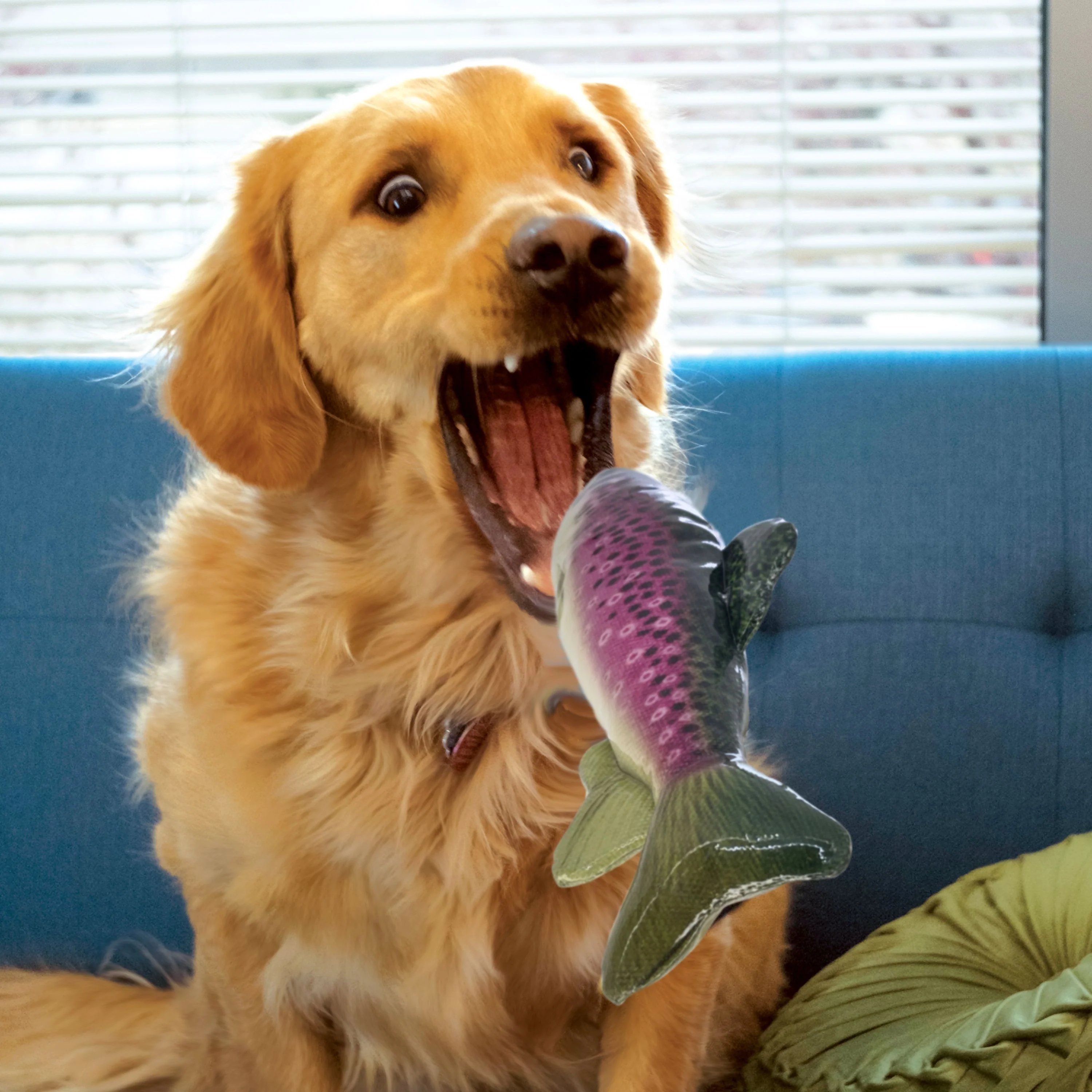 KONG Wild Shields Trout Medium Dog Toy - Image 3