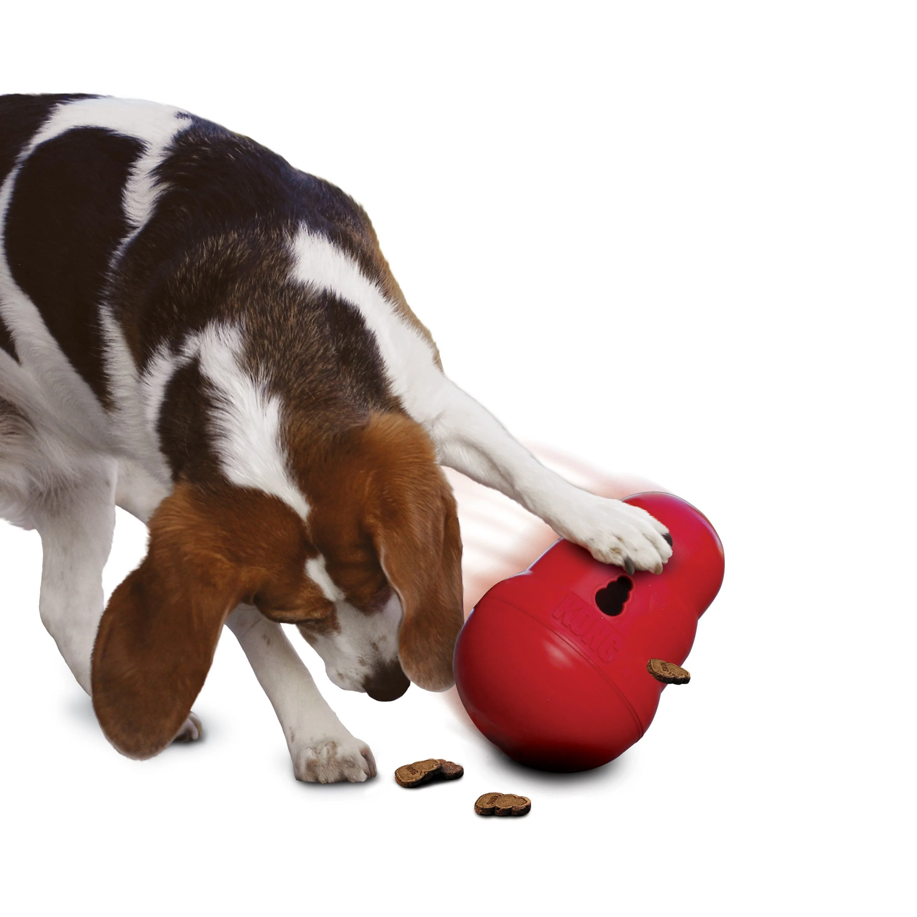 KONG Wobbler Small Dog Toy - Image 3