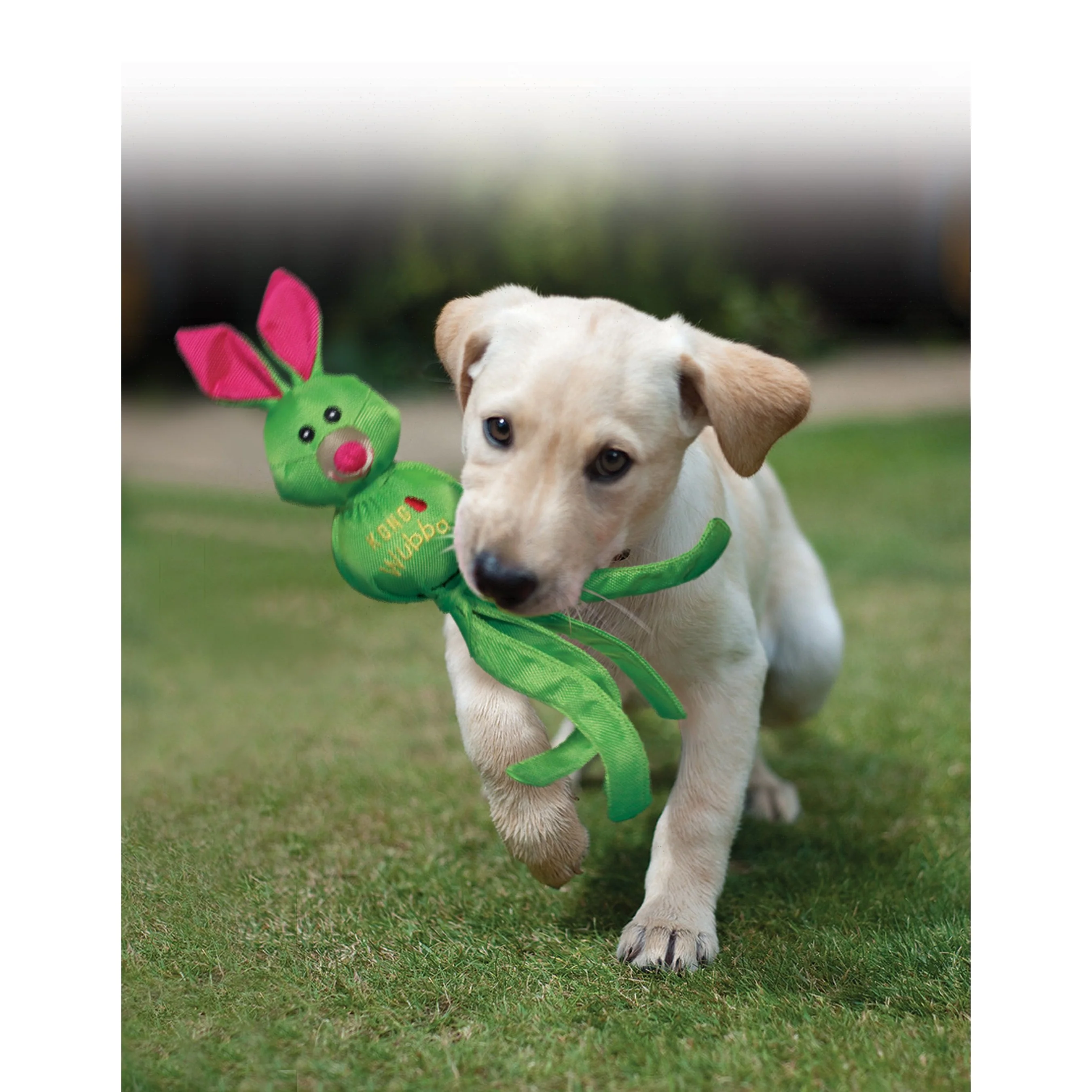 KONG Wubba Friends Small Dog Toy - Image 3
