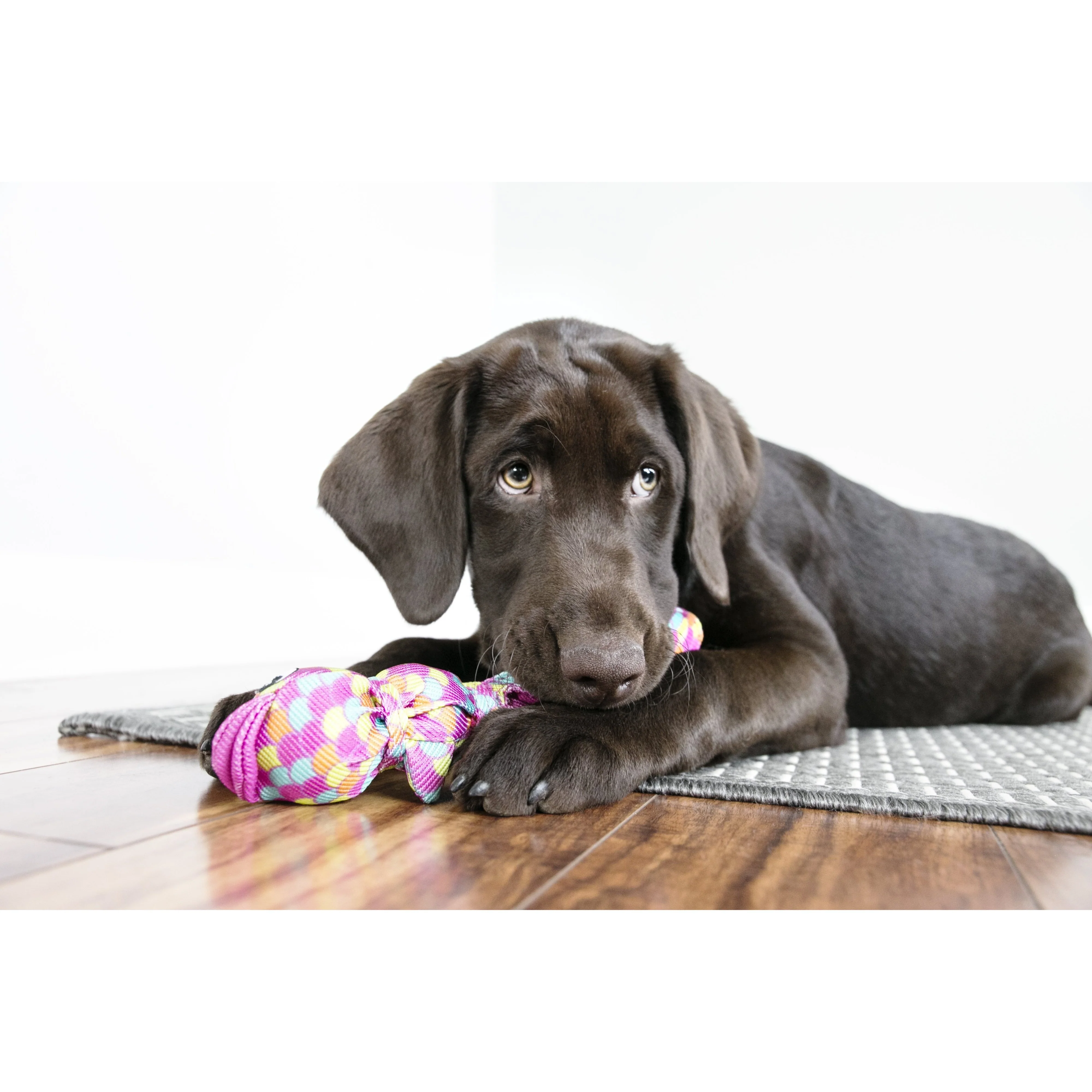 KONG Wubba Finz Blue Large Dog Toy - Image 3