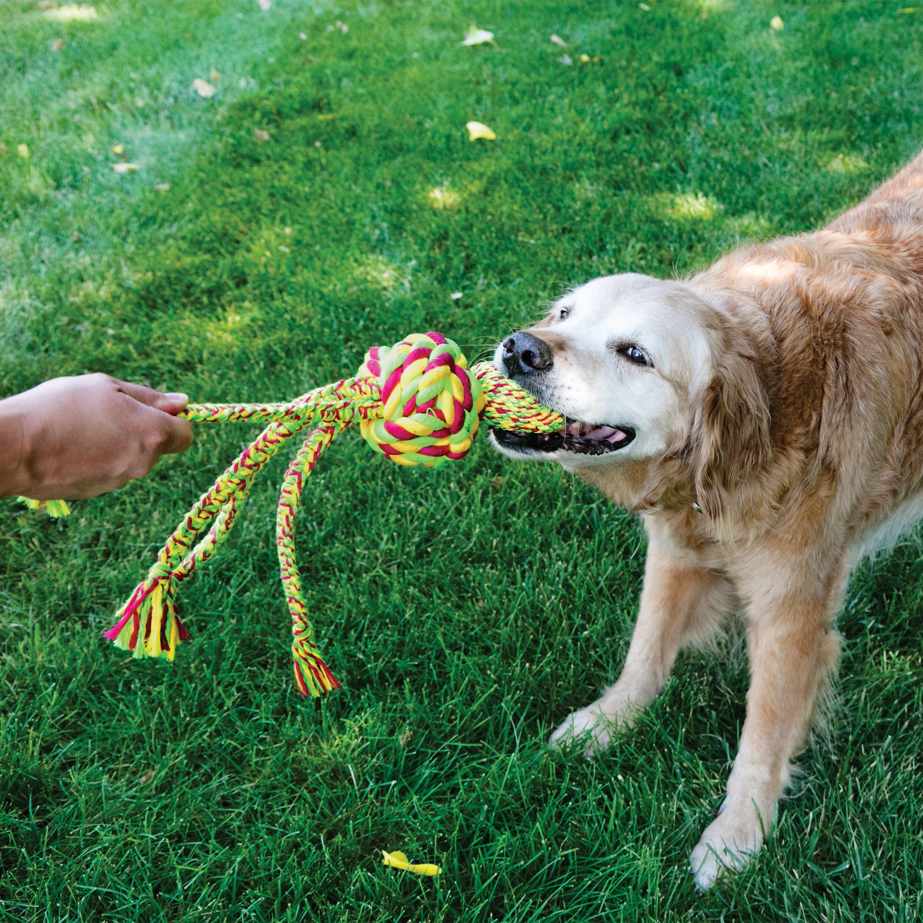 KONG Wubba Weaves With Rope Large Dog Toy - Image 3