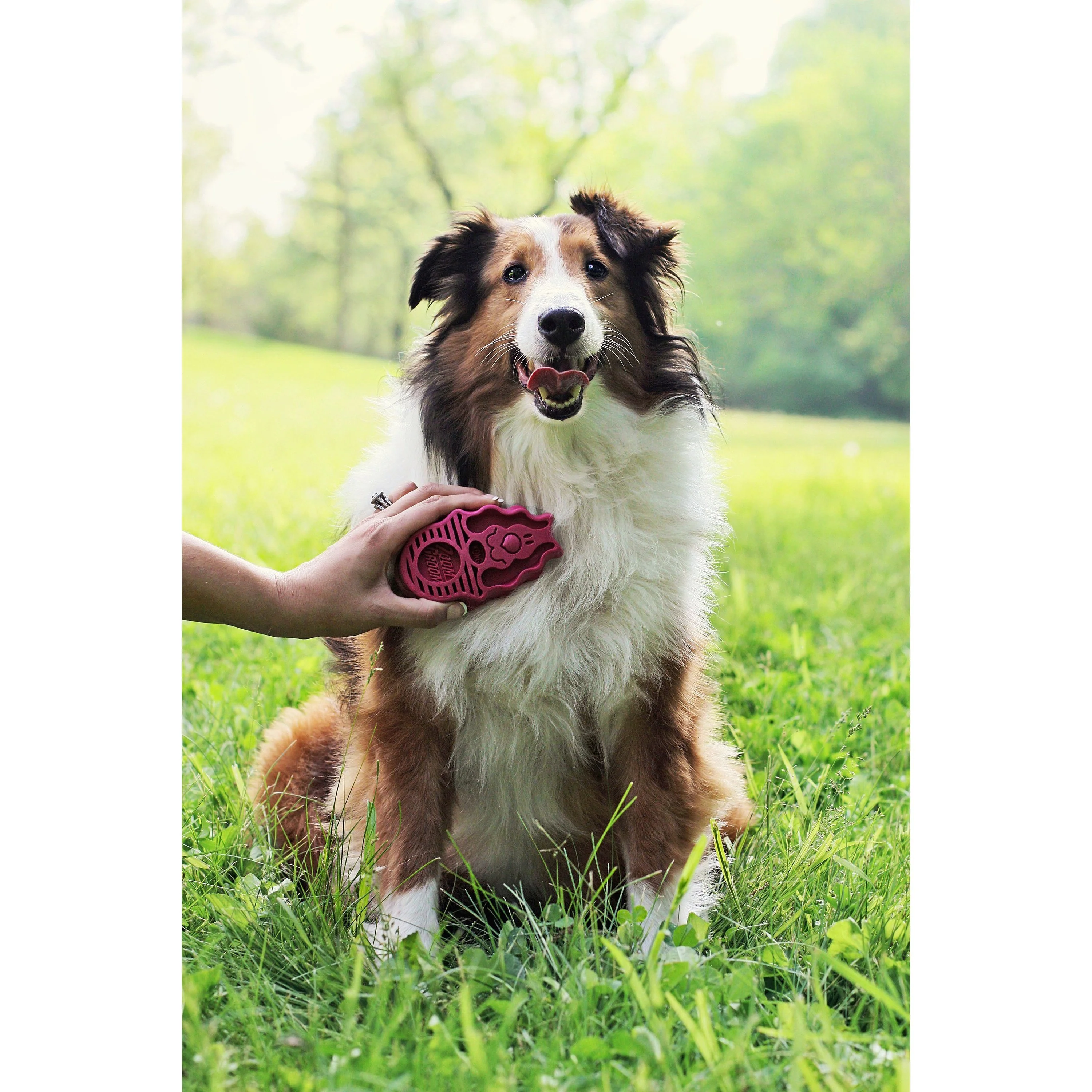 KONG Zoom Groom Raspberry Brush - Image 2