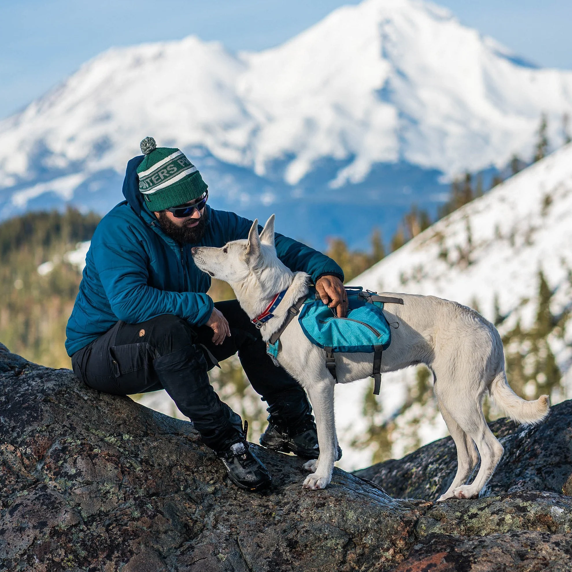 Kurgo Big Baxter Dog Pack - Image 8