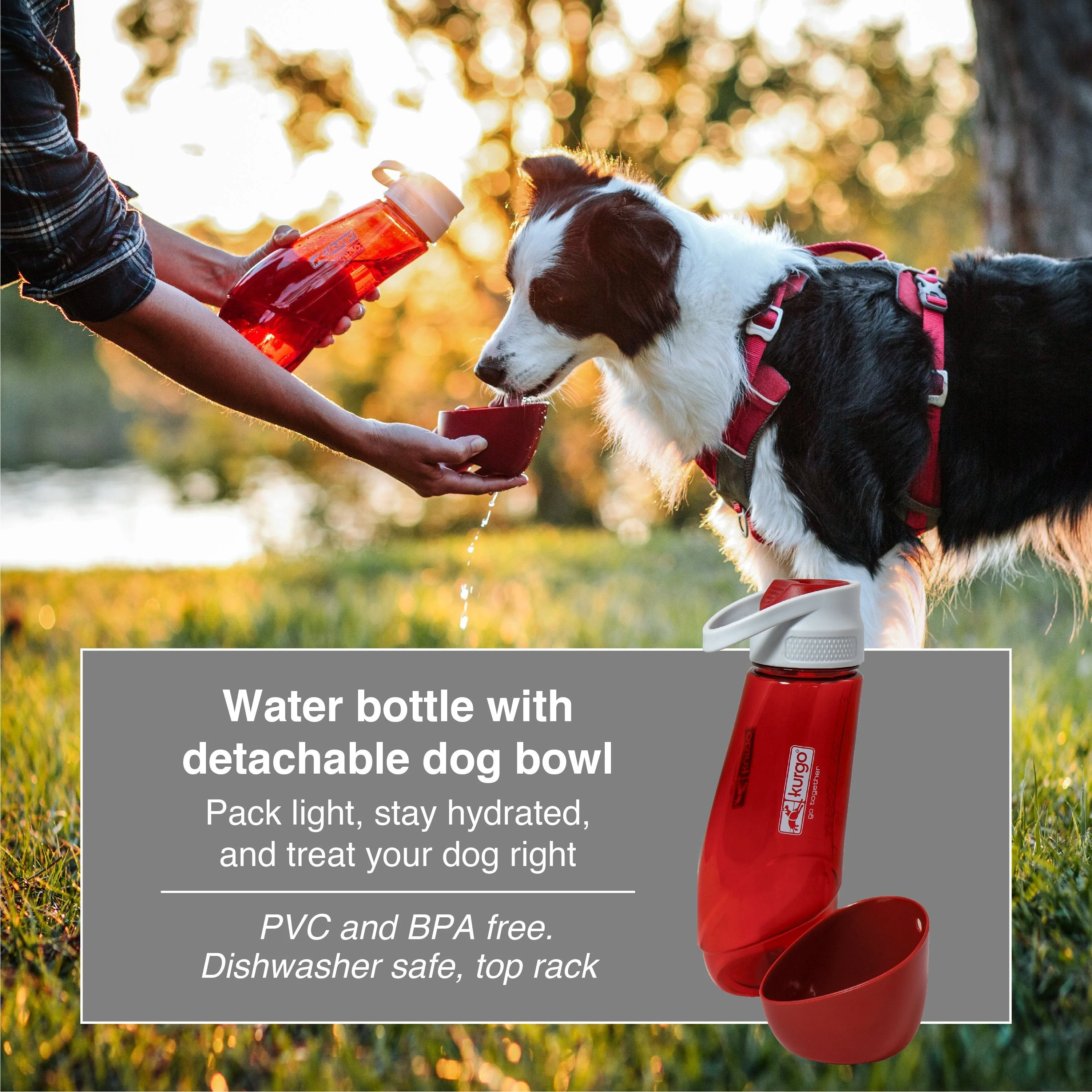 Kurgo Gourd H20 Water Bottle and Bowl Coastal Blue - Image 5
