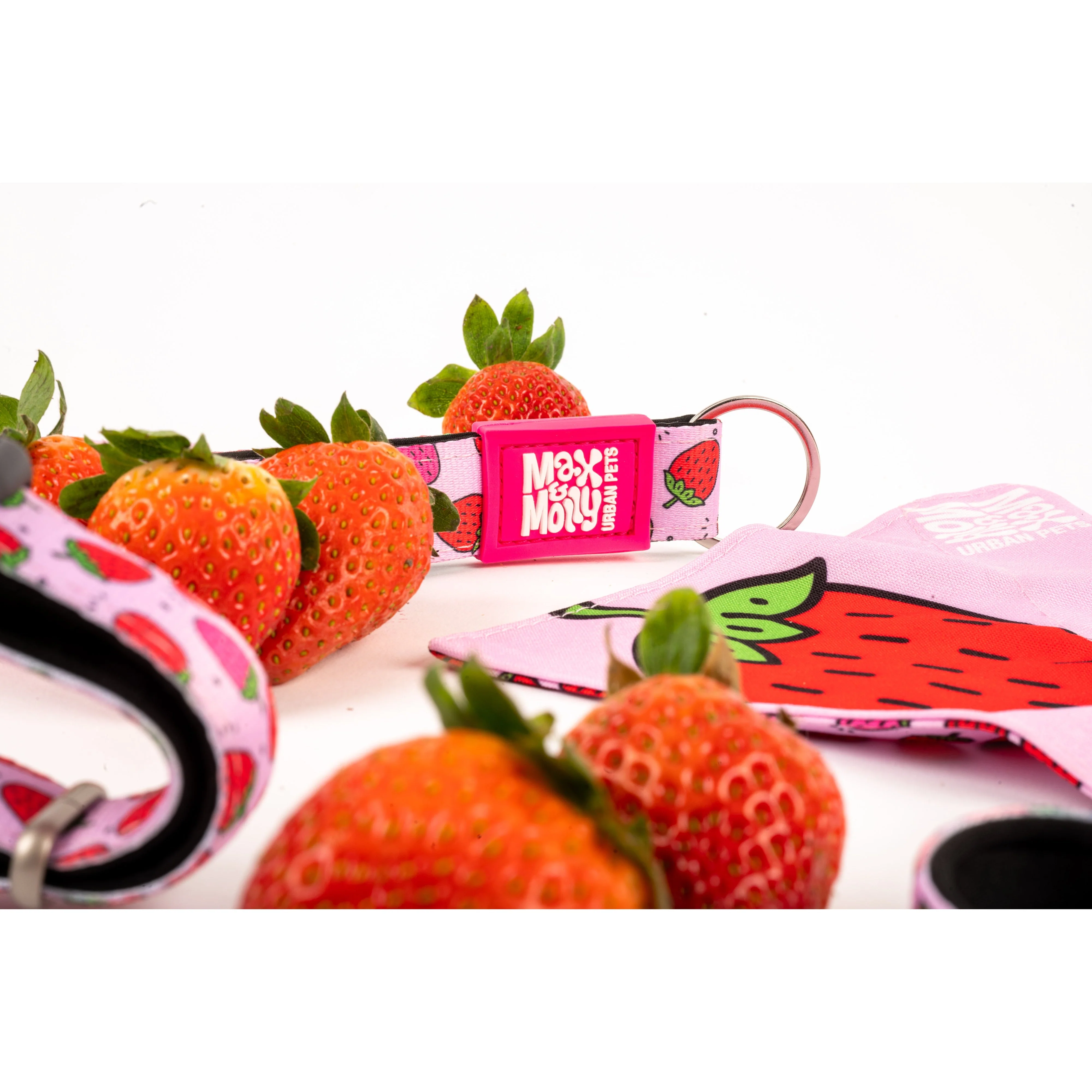 Max & Molly Strawberry Dream Smart ID Dog Collar Extra Small - Image 5