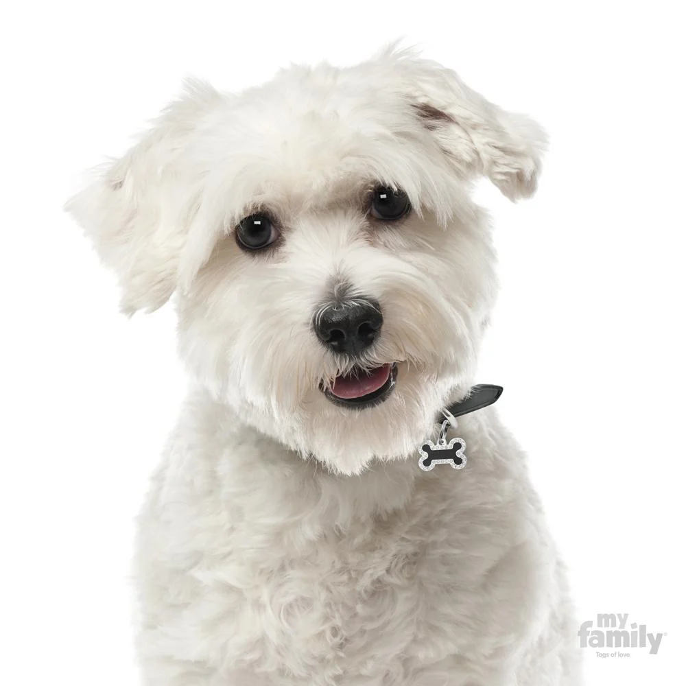 My Family Glam Small Bone Black Dog Tag with Free Engraving - Image 2