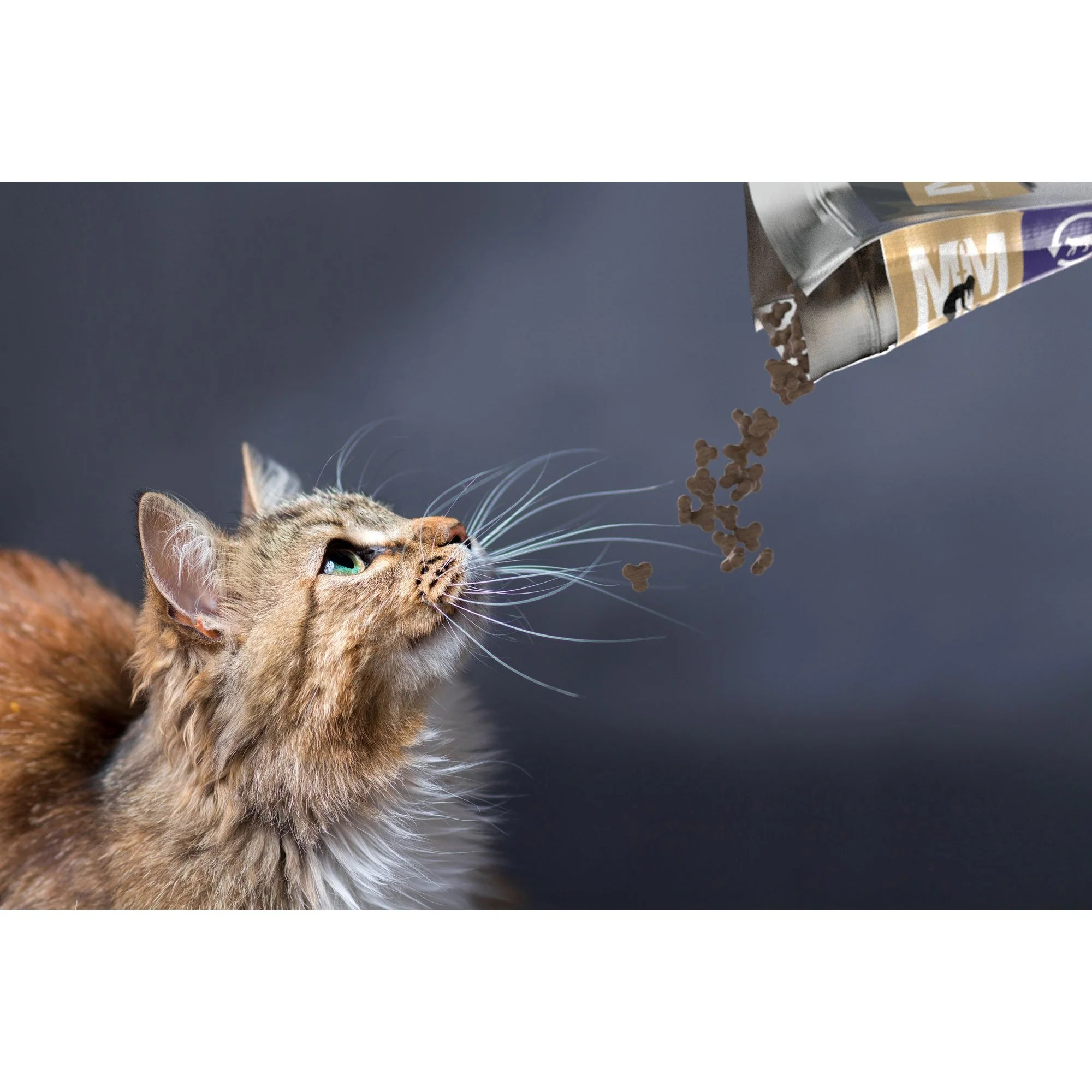 Meals for Meows Kangaroo and Turkey Dry Cat Food 9kg - Image 4