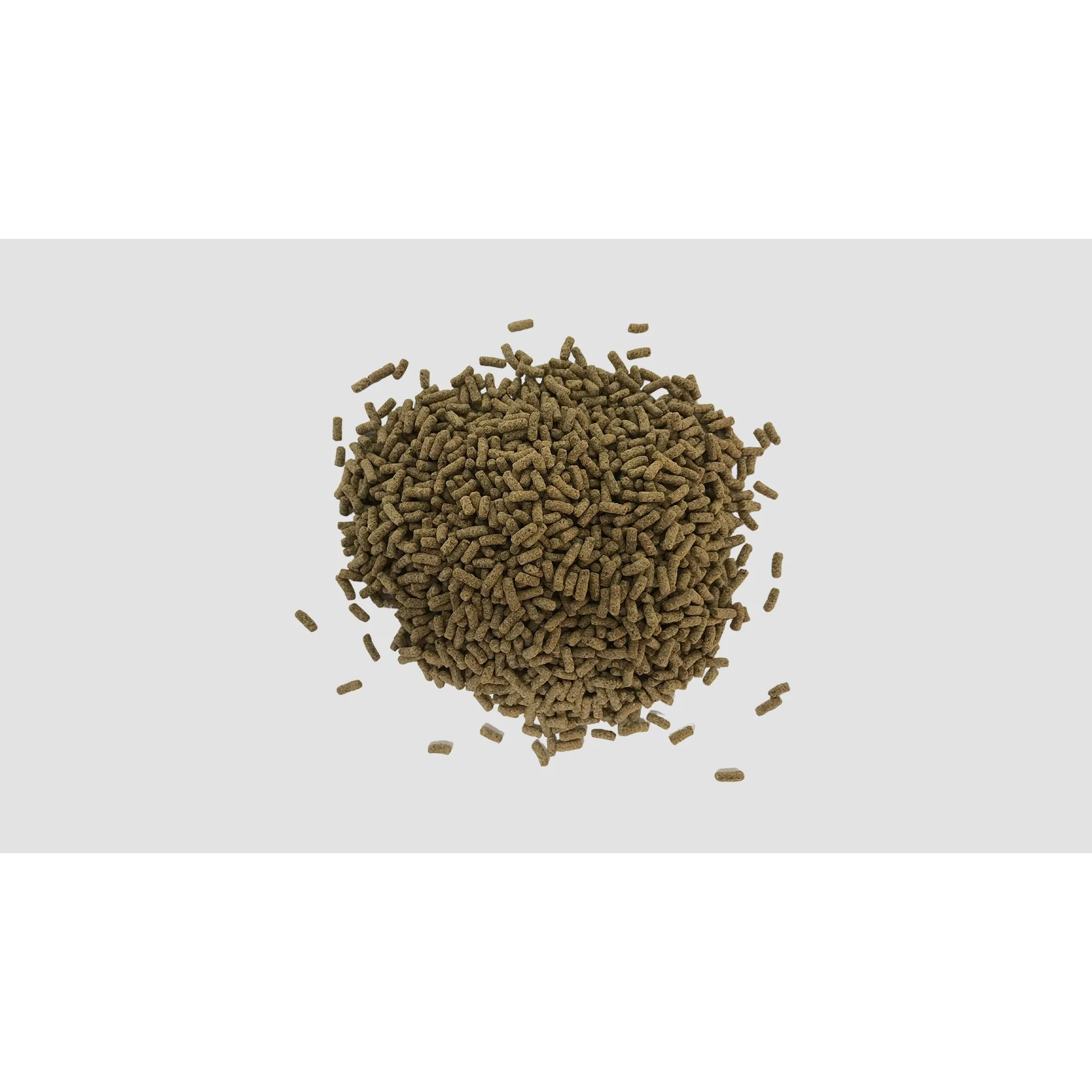 Minibeasts Insect in a Pellet Bearded Dragon 125g - Image 2