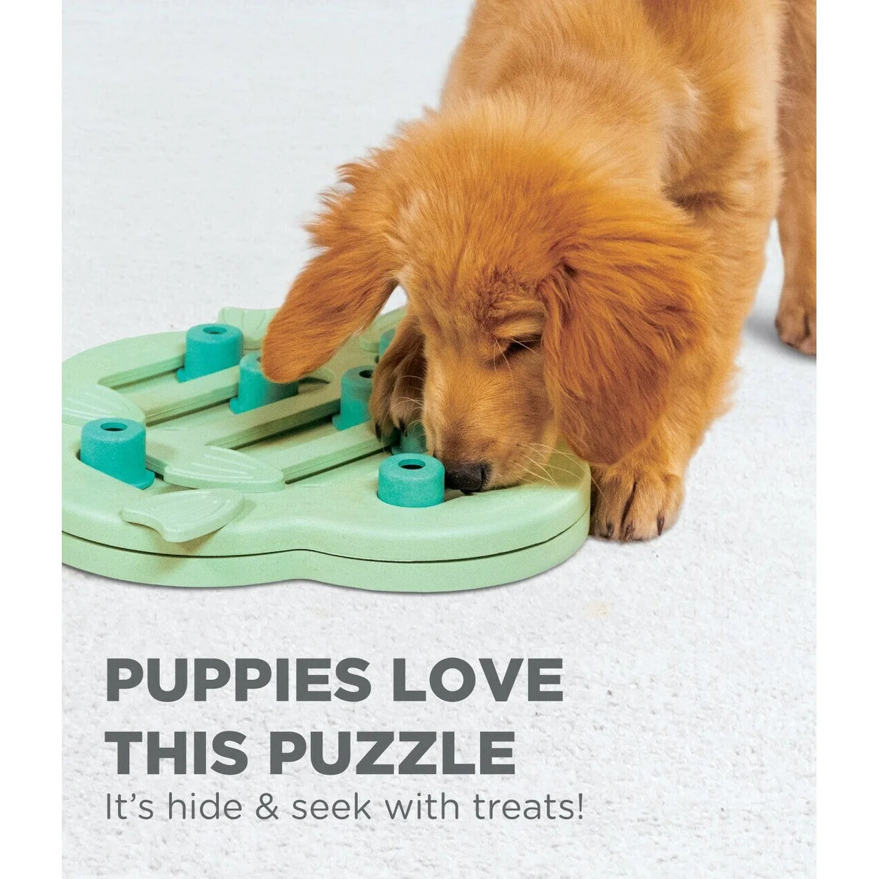 Nina Ottosson Hide and Slide Interactive Puzzle Dog Toy for Puppies - Image 6