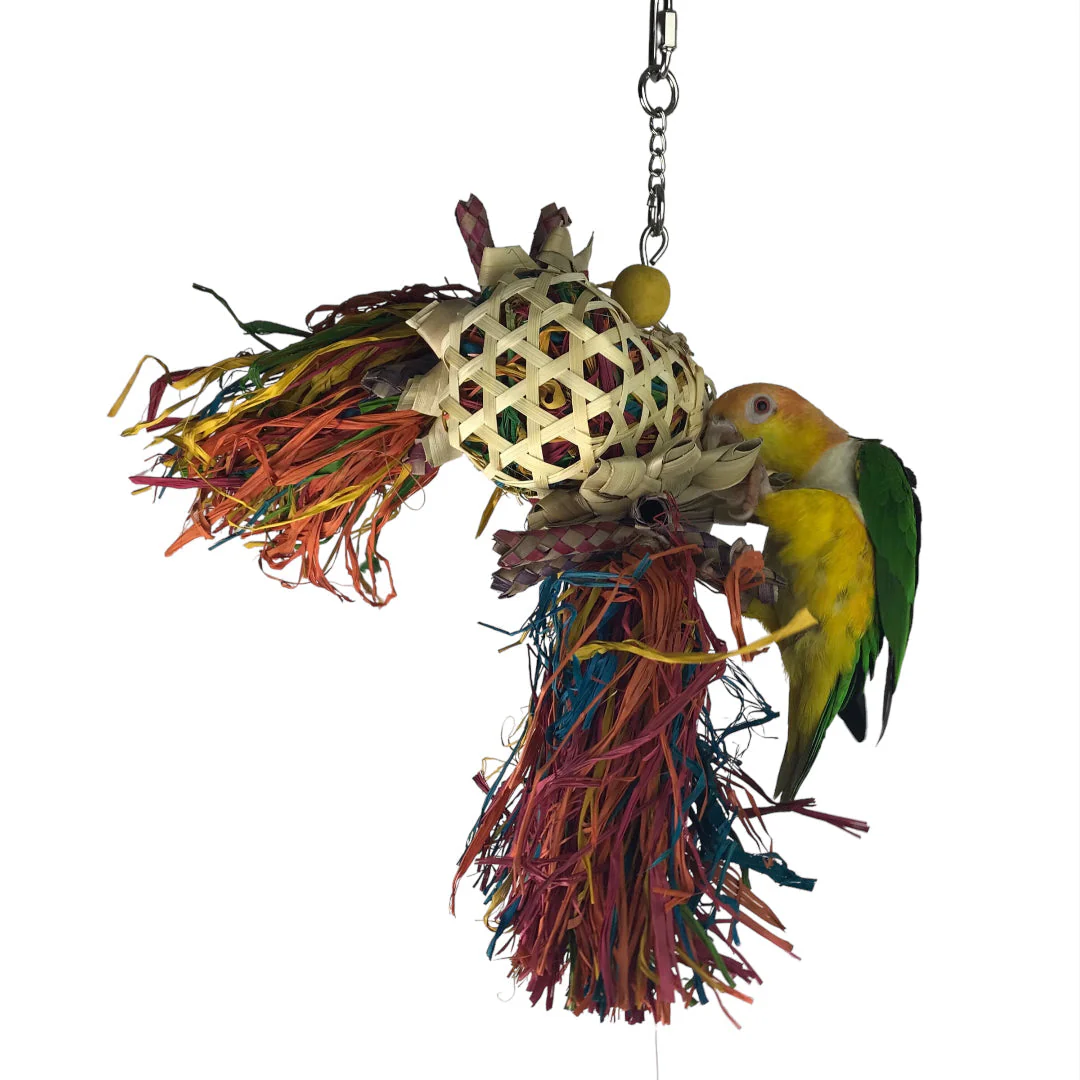 Ninos Java Afro Drum Foraging Toy for Birds - Image 3