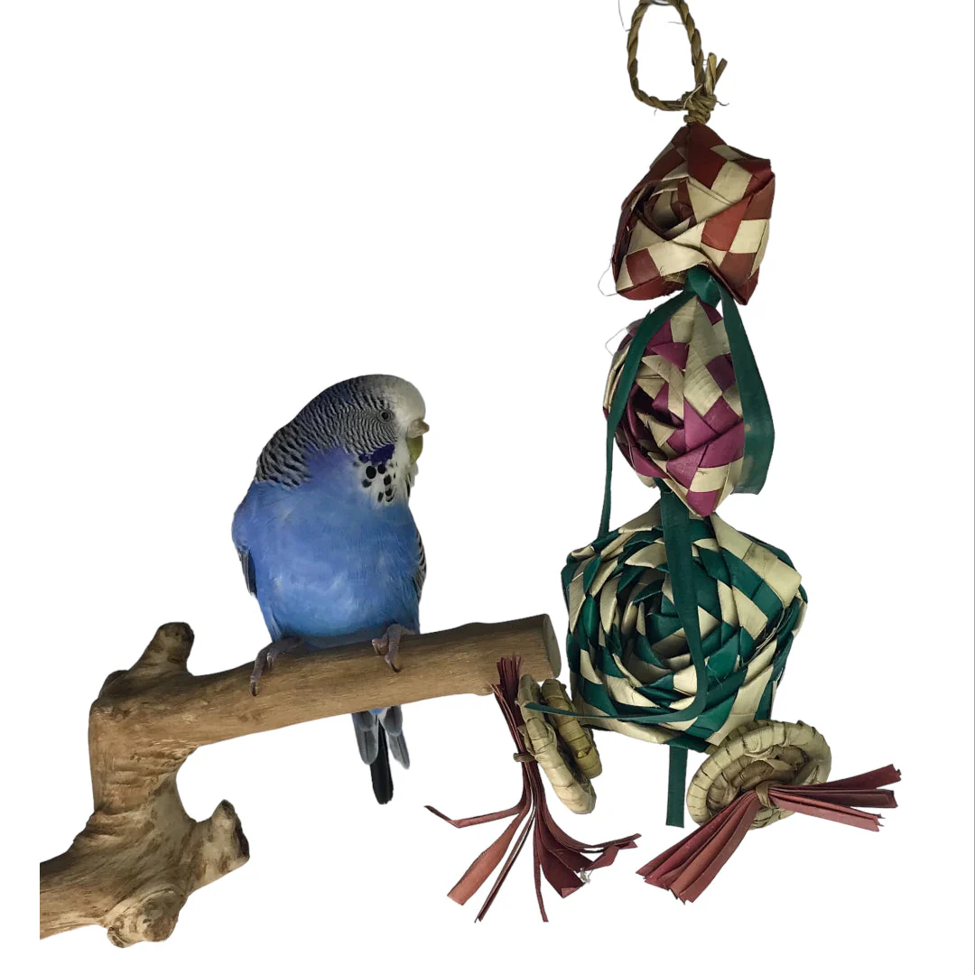 Ninos Java Bella Toy for Birds - Image 5