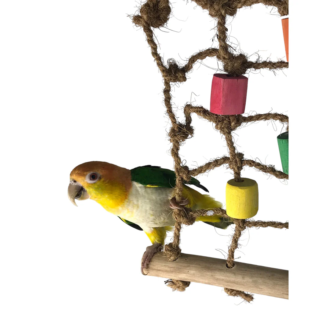 Ninos Java Cargo Net for Birds Small - Image 3