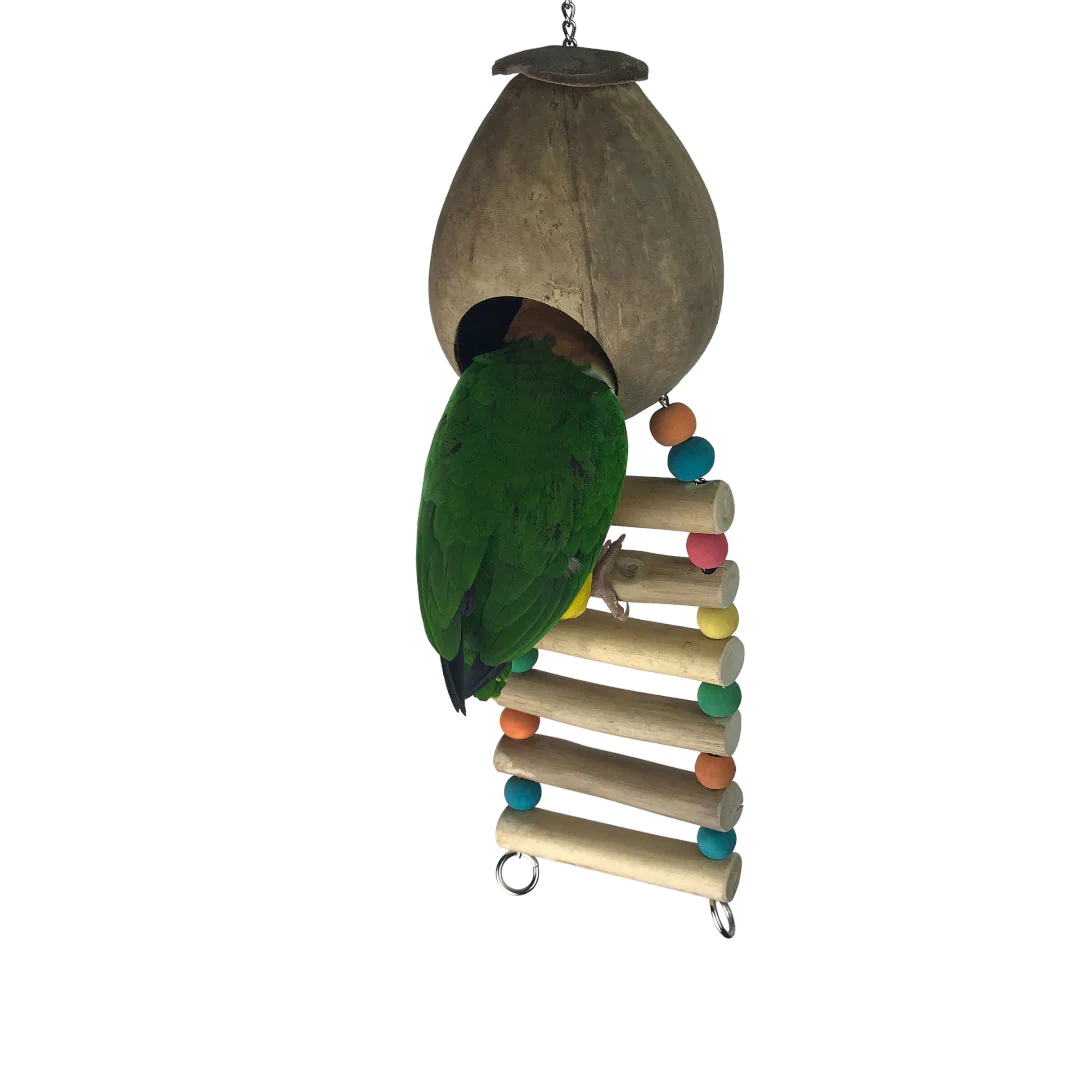 Ninos Java Coco Ladder Nest for Birds - Image 2