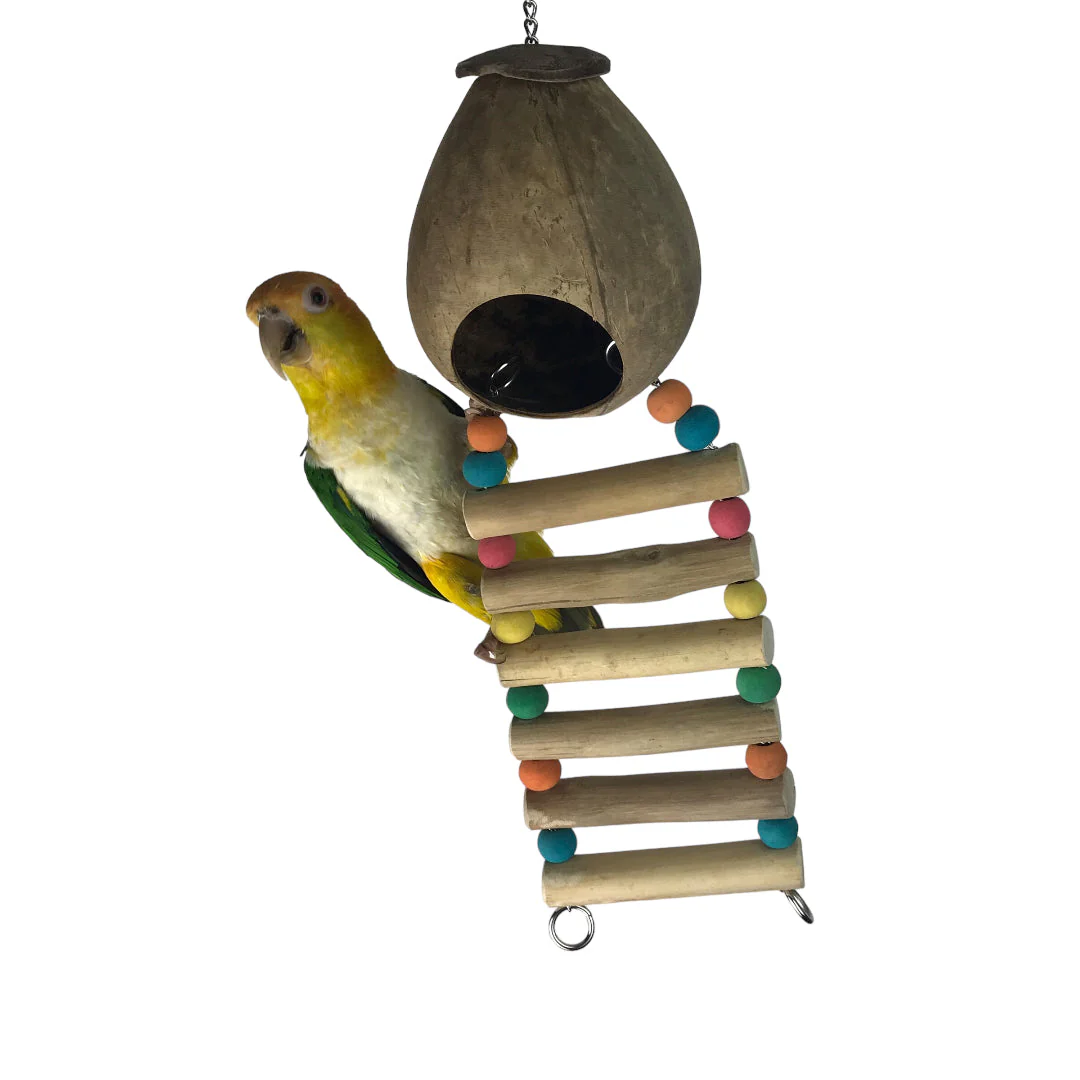 Ninos Java Coco Ladder Nest for Birds - Image 3