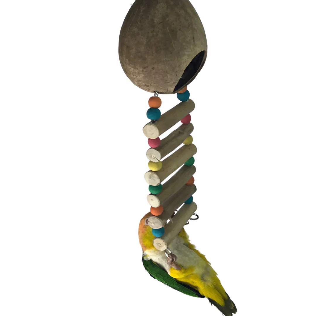 Ninos Java Coco Ladder Nest for Birds - Image 4
