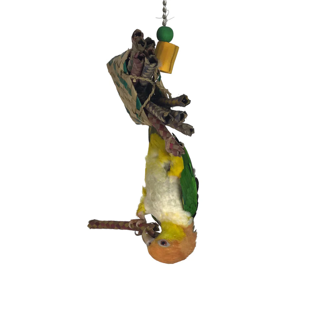 Ninos Java Foot Toy Fries for Birds - Image 3