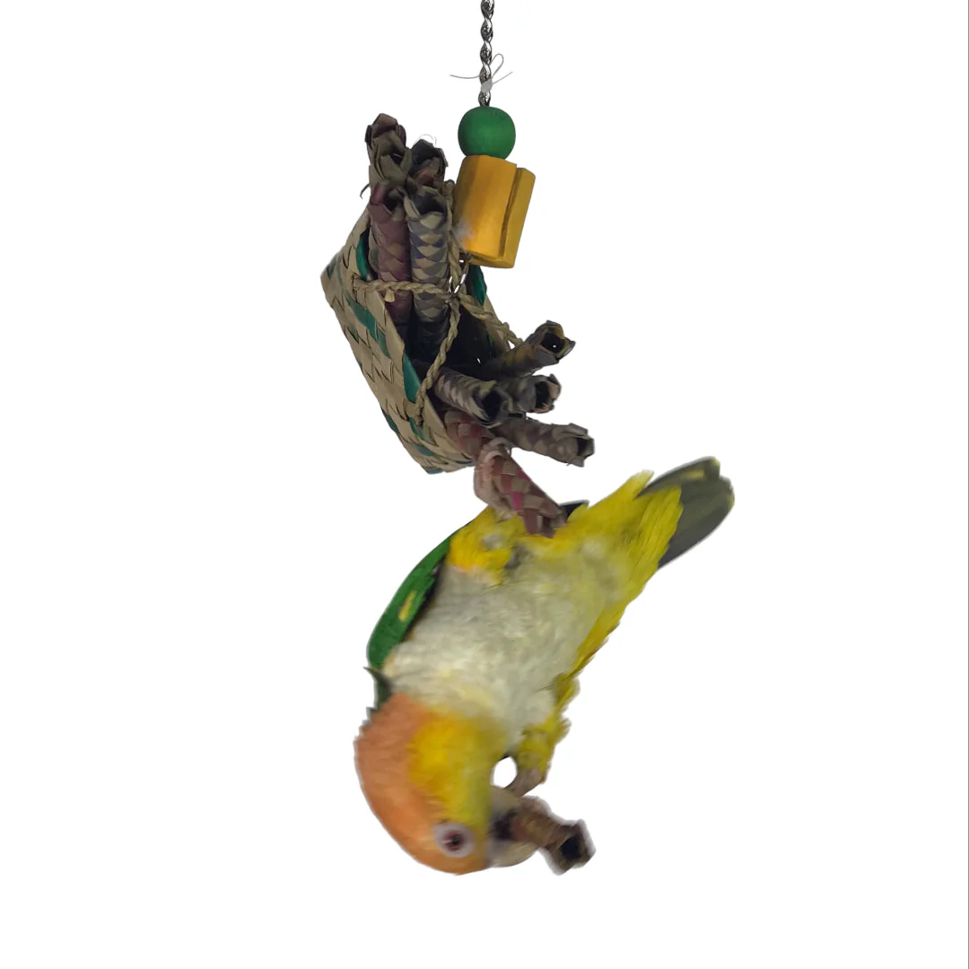 Ninos Java Foot Toy Fries for Birds - Image 4