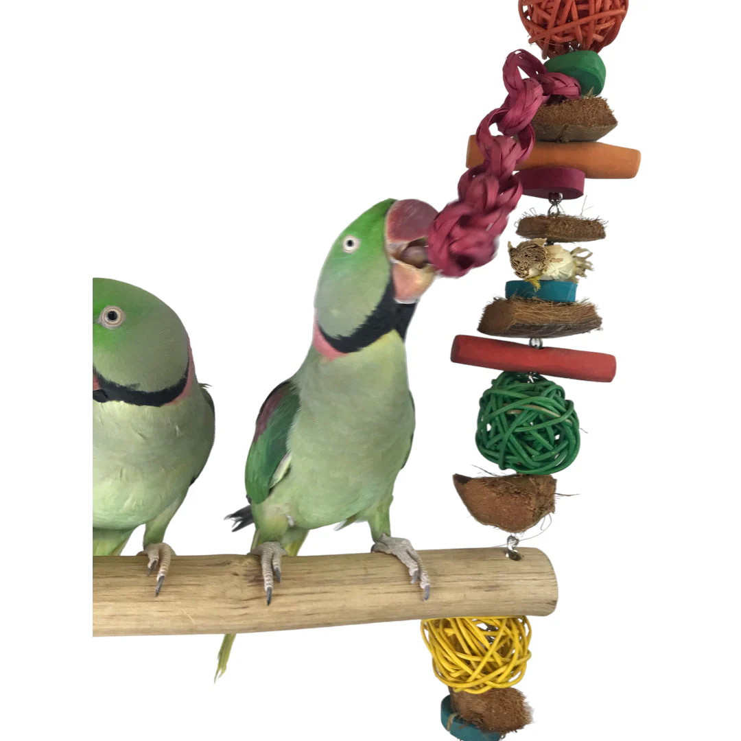 Ninos Java Giant Swing for Birds - Image 3