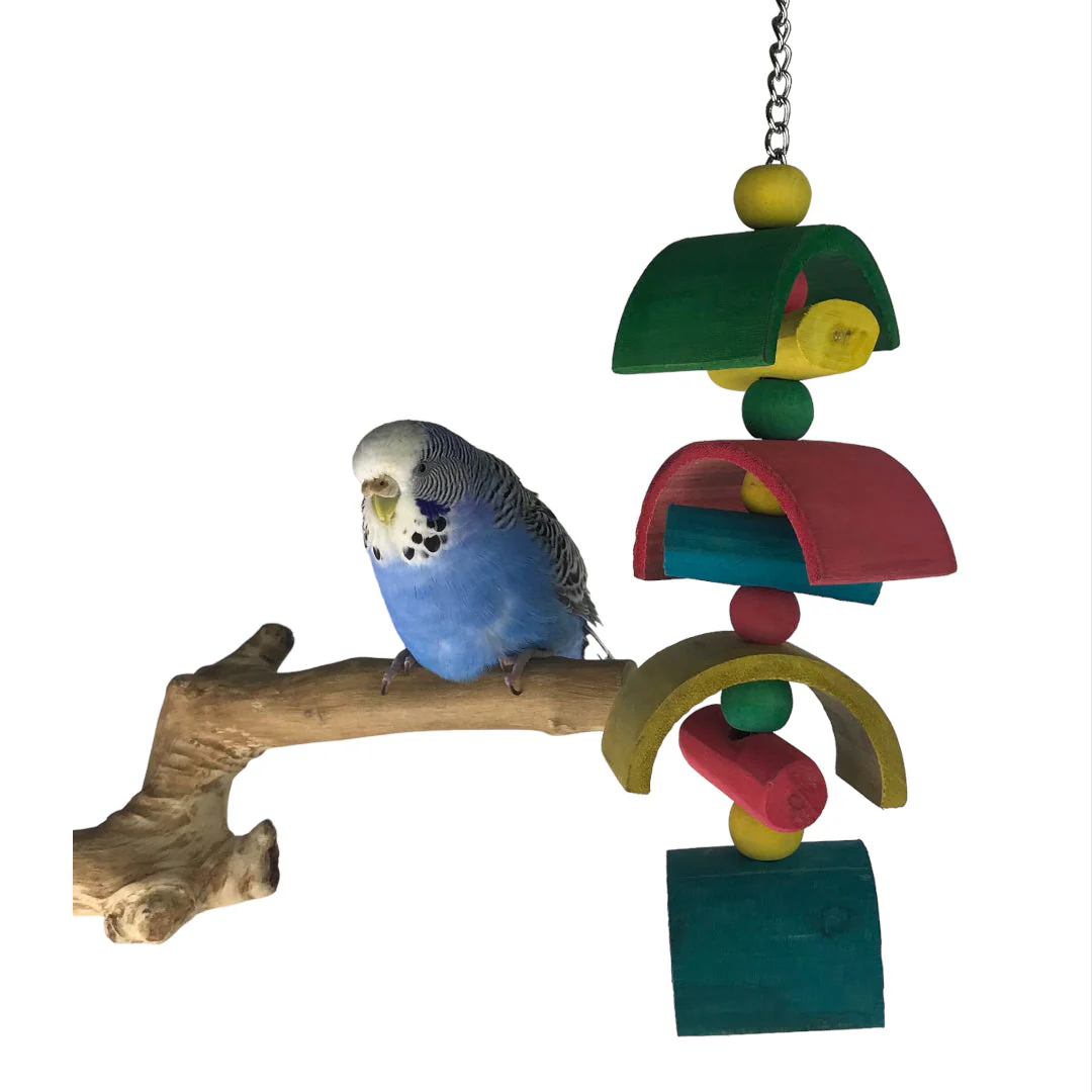 Ninos Java Half Moon Glider Toy for Birds Small - Image 5