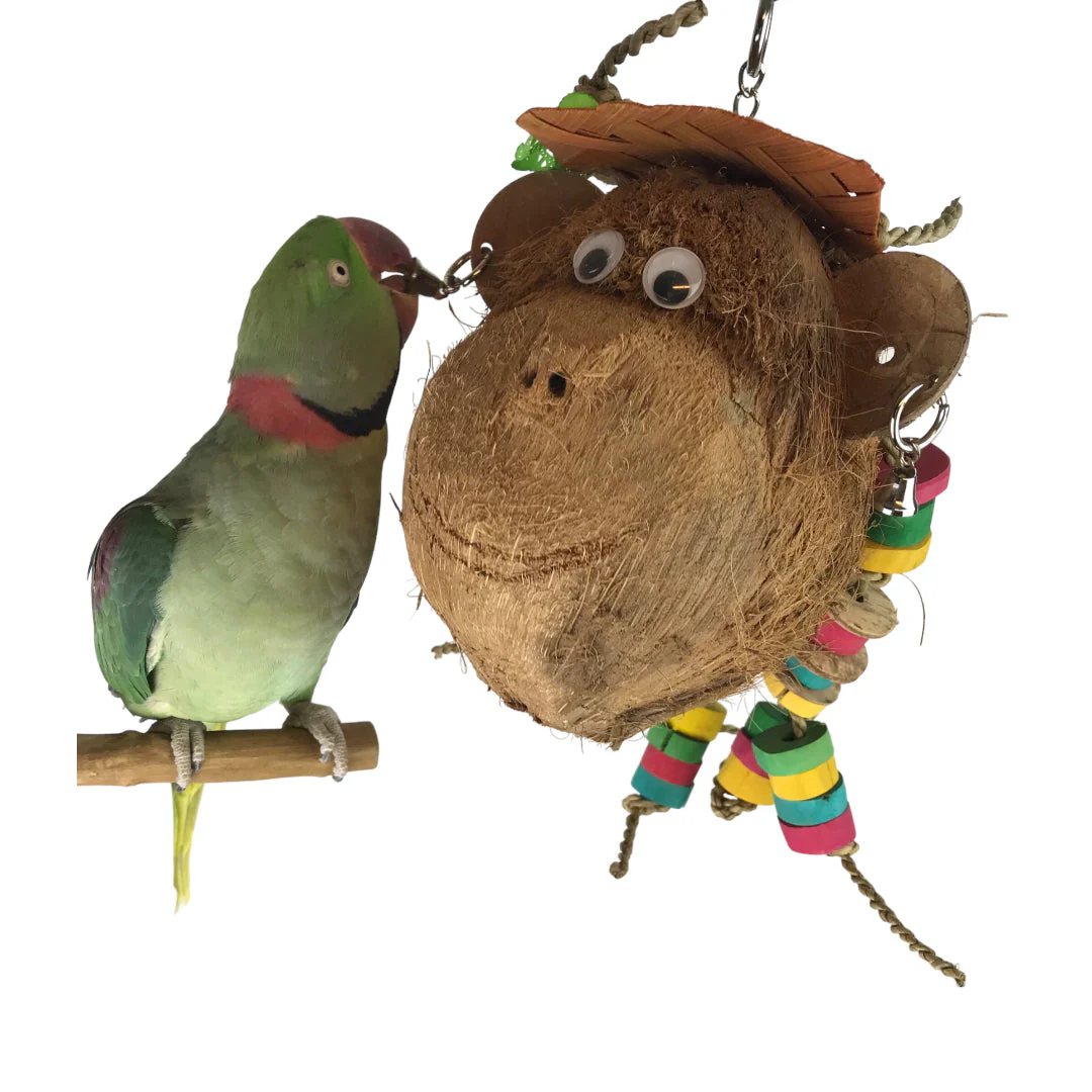 Ninos Java Miss Monkey Toy for Birds - Image 2