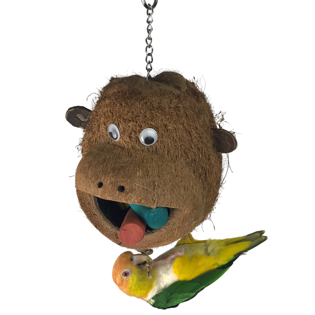 Ninos Java Mr Monkey Toy for Birds - Image 2