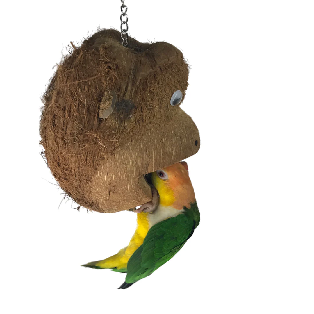 Ninos Java Mr Monkey Toy for Birds - Image 3