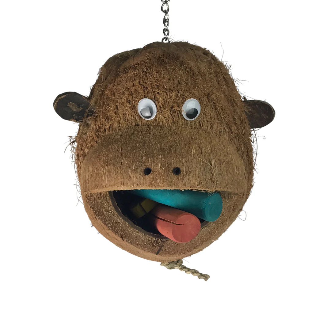 Ninos Java Mr Monkey Toy for Birds - Image 4
