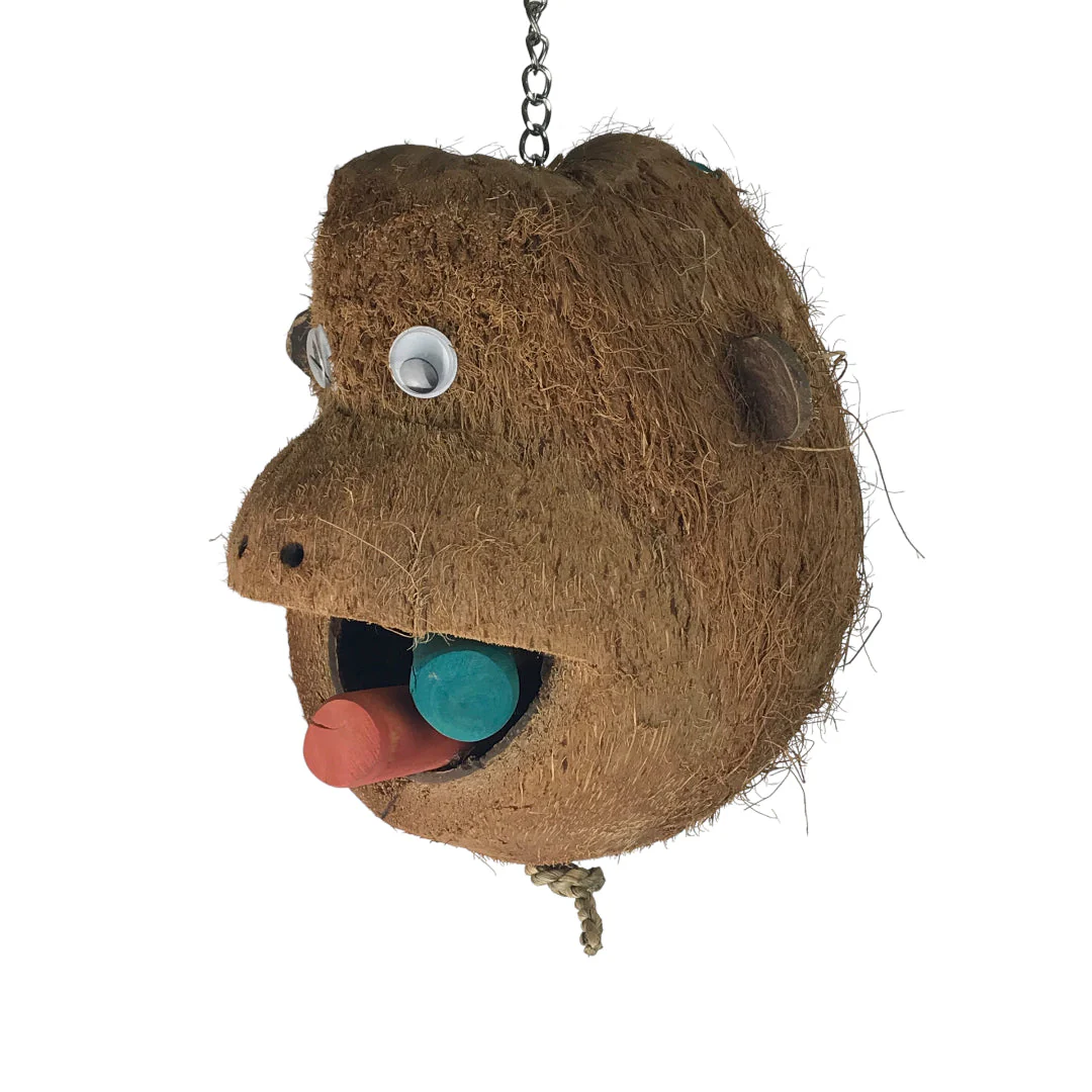 Ninos Java Mr Monkey Toy for Birds - Image 5