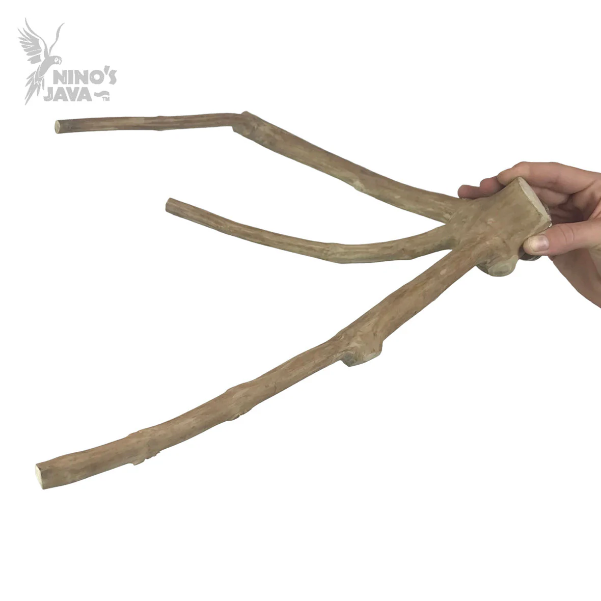 Ninos Java Multi Branch Perch for Birds Extra Small - Image 2