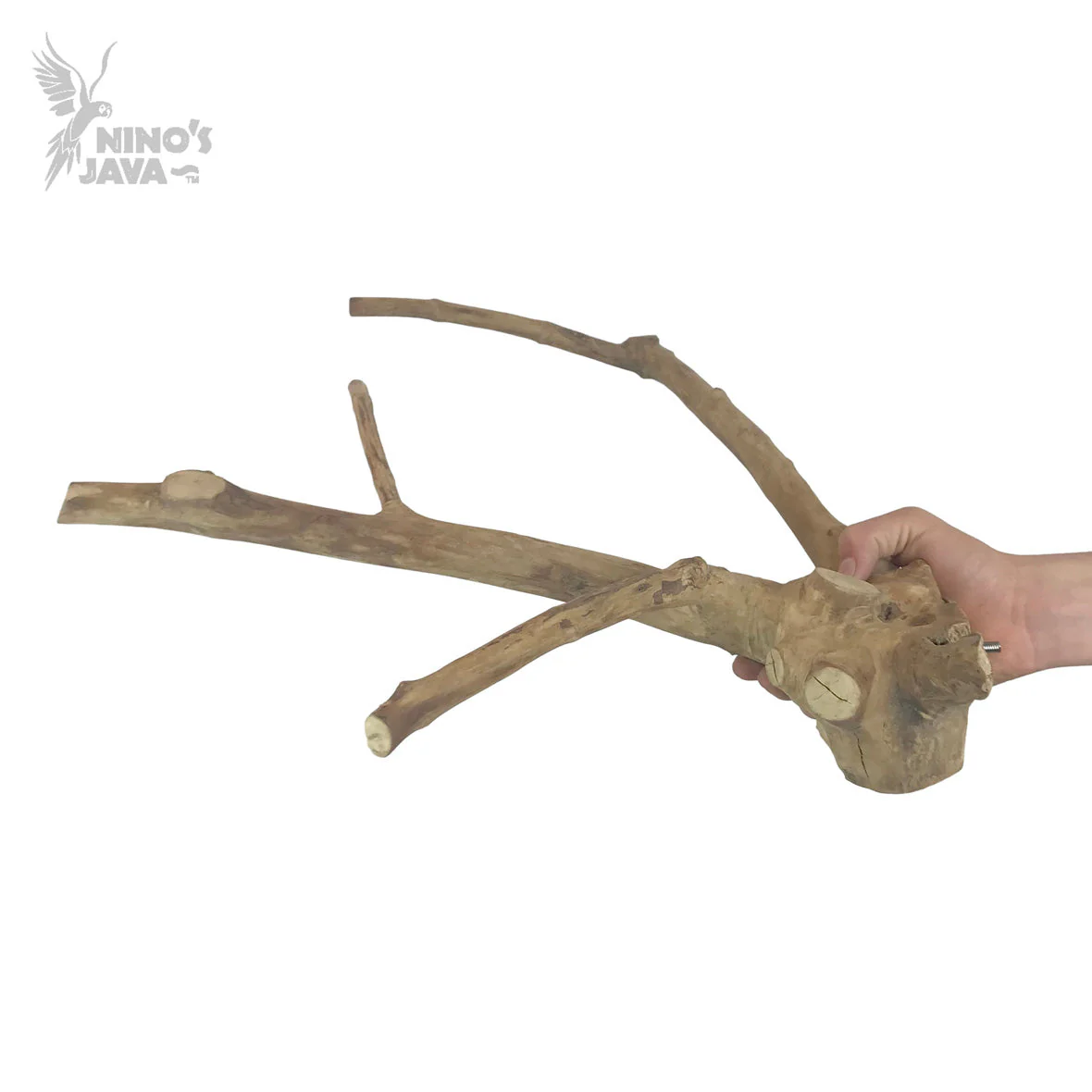 Ninos Java Multi Branch Perch for Birds Small - Image 2