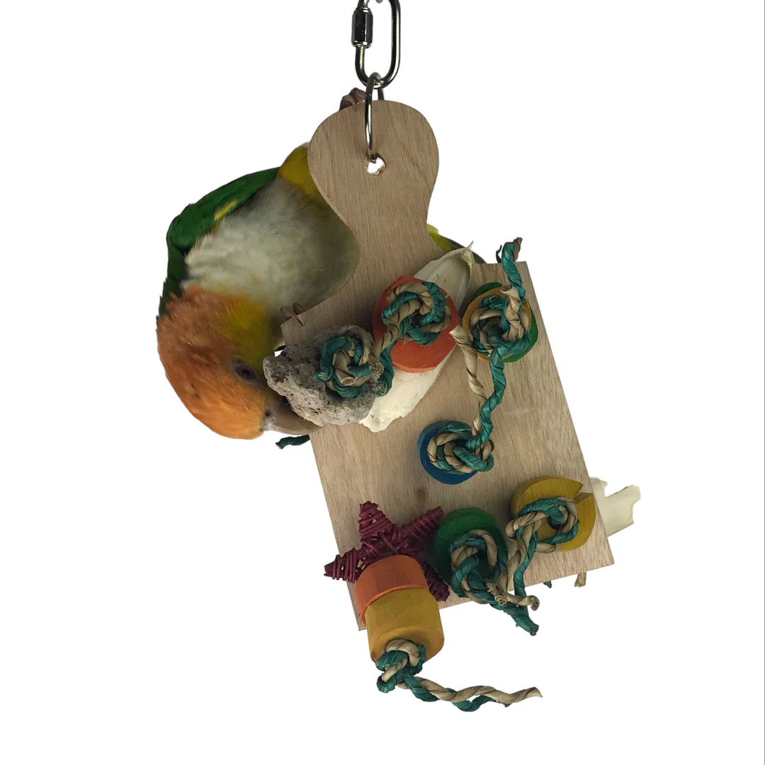 Ninos Java Nik Nak Toy for Birds - Image 2