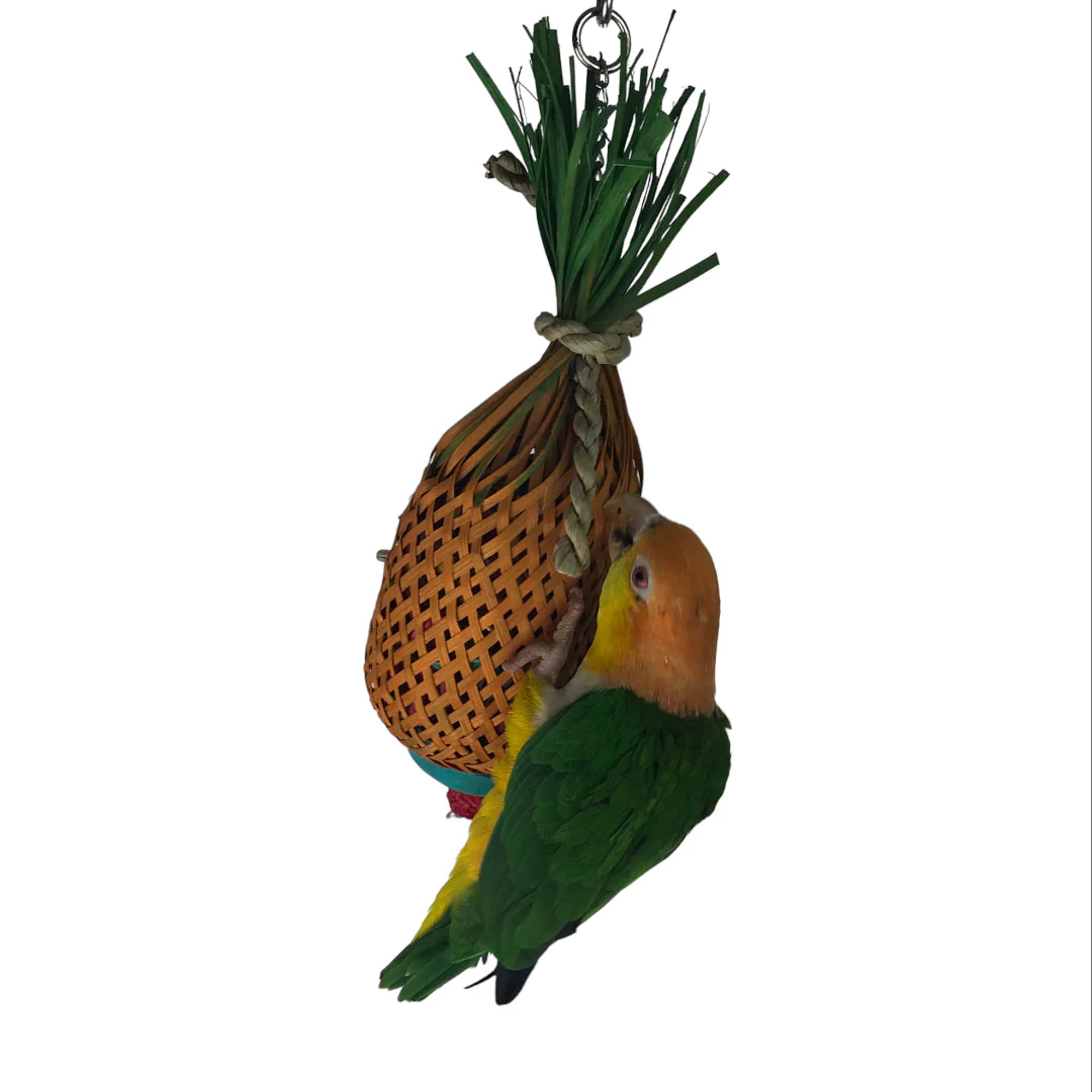 Ninos Java Pineapple foraging Toy for Birds Small - Image 3