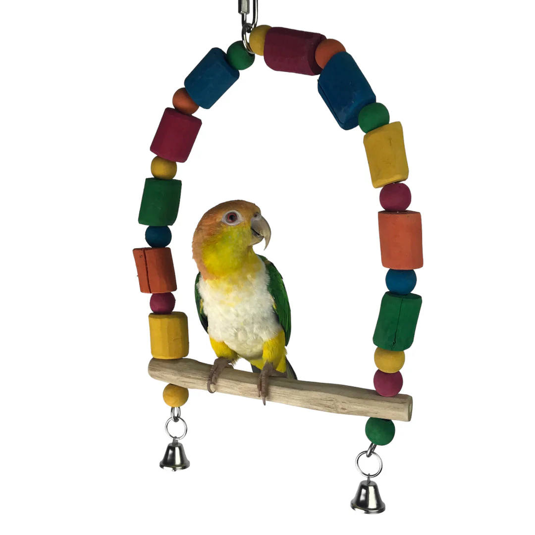 Ninos Java Rainbow Swing for Birds - Image 3