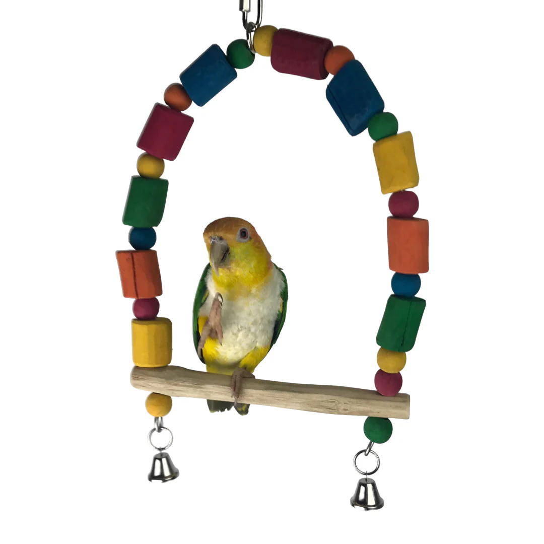 Ninos Java Rainbow Swing for Birds - Image 4