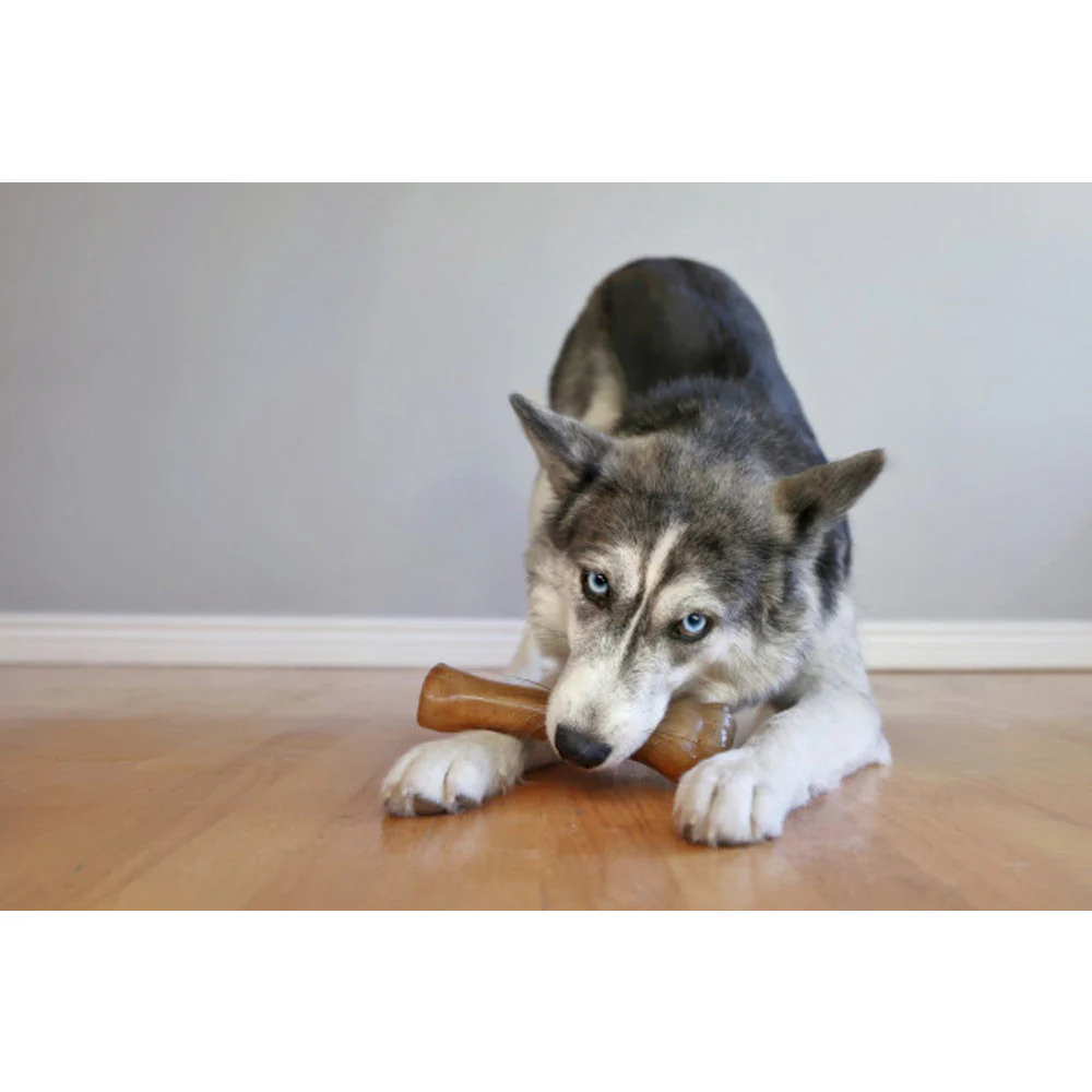 Nylabone Puppy Bone Dog Toy Chicken Souper - Image 2