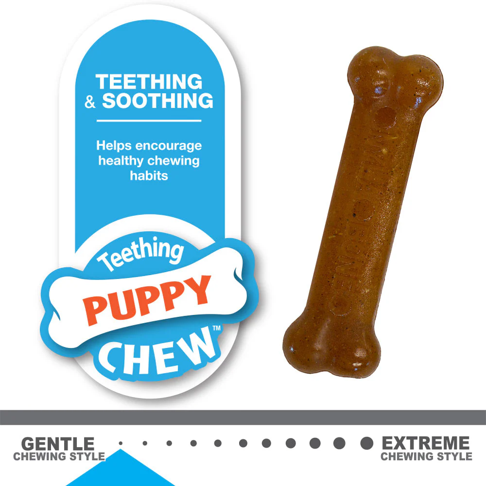Nylabone Puppy Bone Variety Dog Toys Petite 2 Pack - Image 4