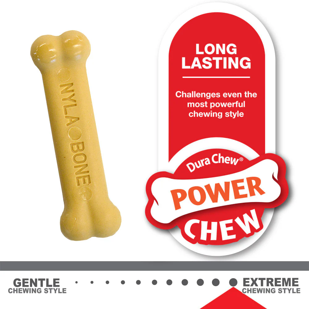 Nylabone Puppy Bone Variety Dog Toys Petite 2 Pack - Image 5