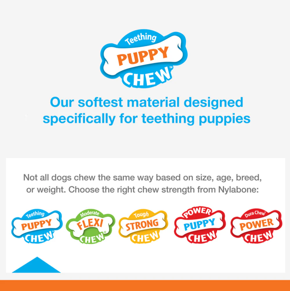 Nylabone Puppy Bone Variety Dog Toys Petite 2 Pack - Image 7