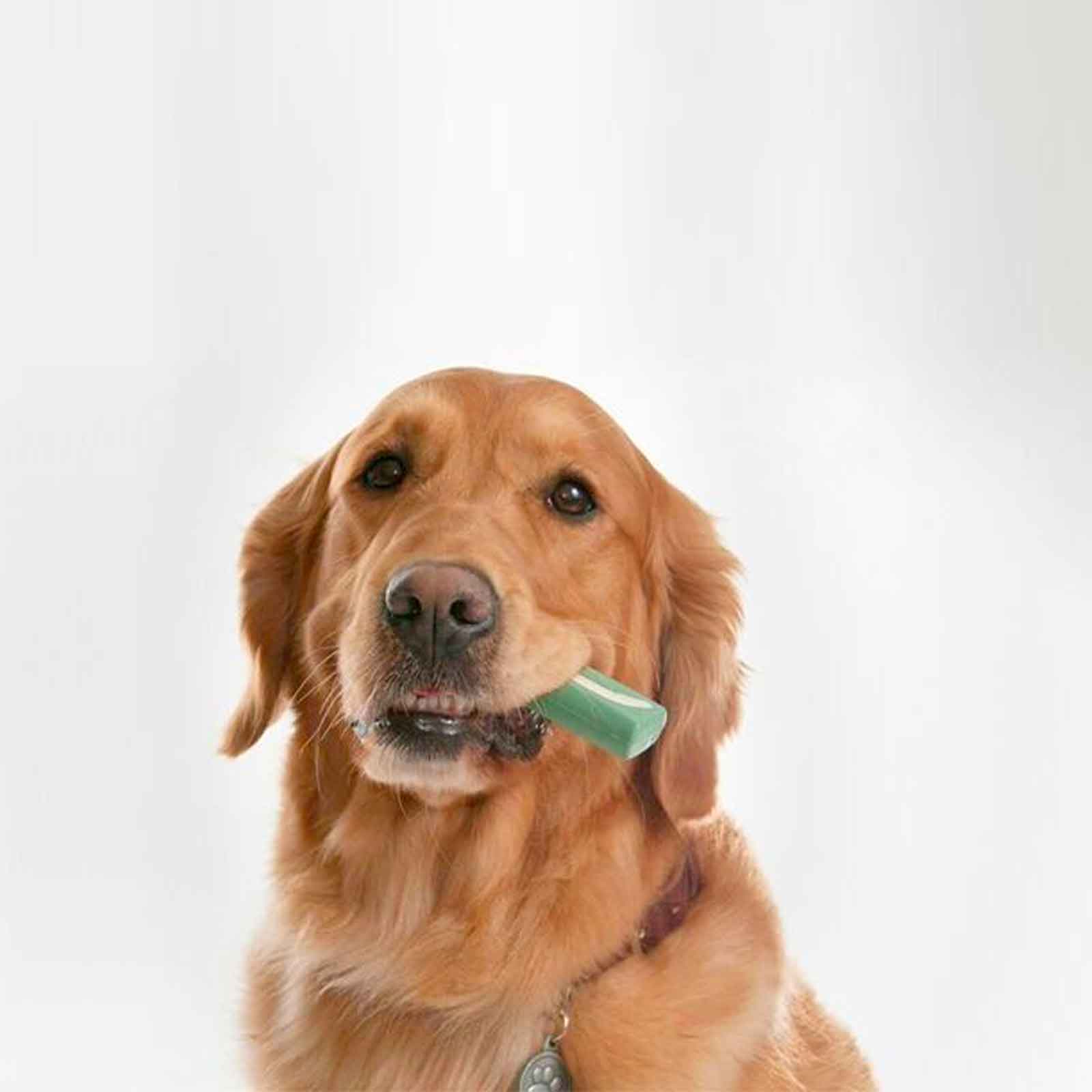 OraVet Dental Hygiene Chews for Large Dogs 14 Pack - Image 4