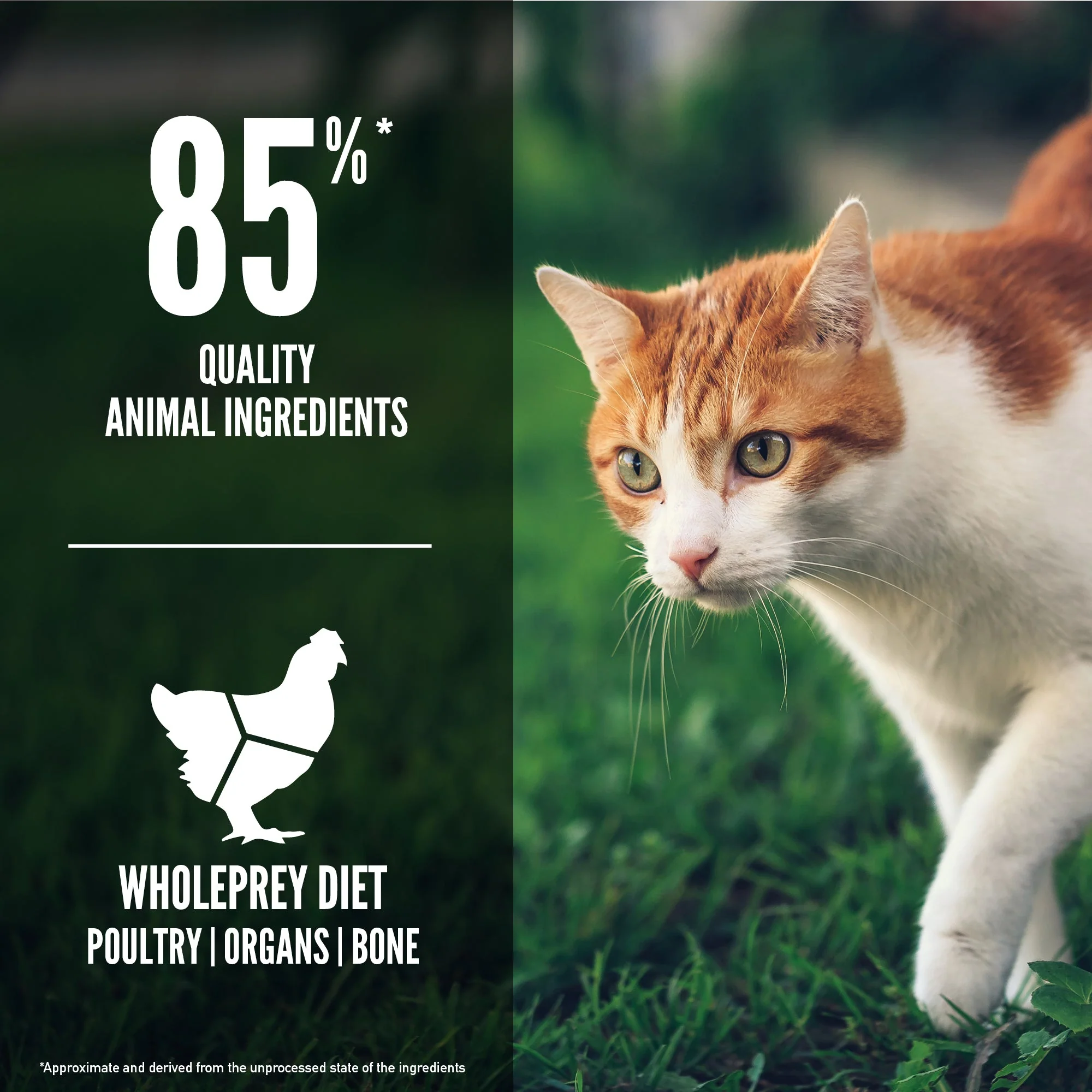 ORIJEN Fit and Trim Biologically Appropriate Dry Cat Food 5.4kg - Image 7