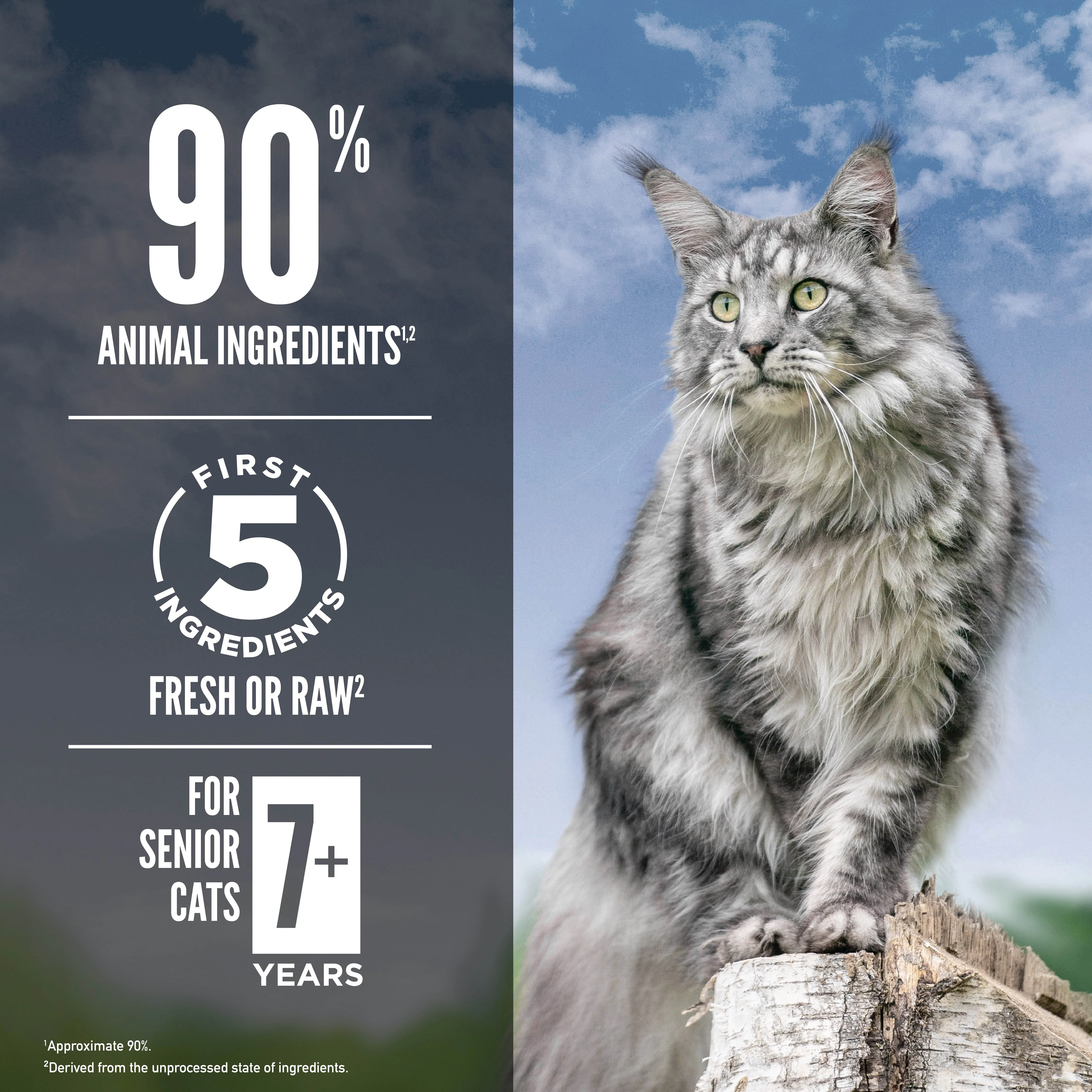 ORIJEN Guardian Senior Biologically Appropriate Dry Cat Food 4.5kg - Image 7