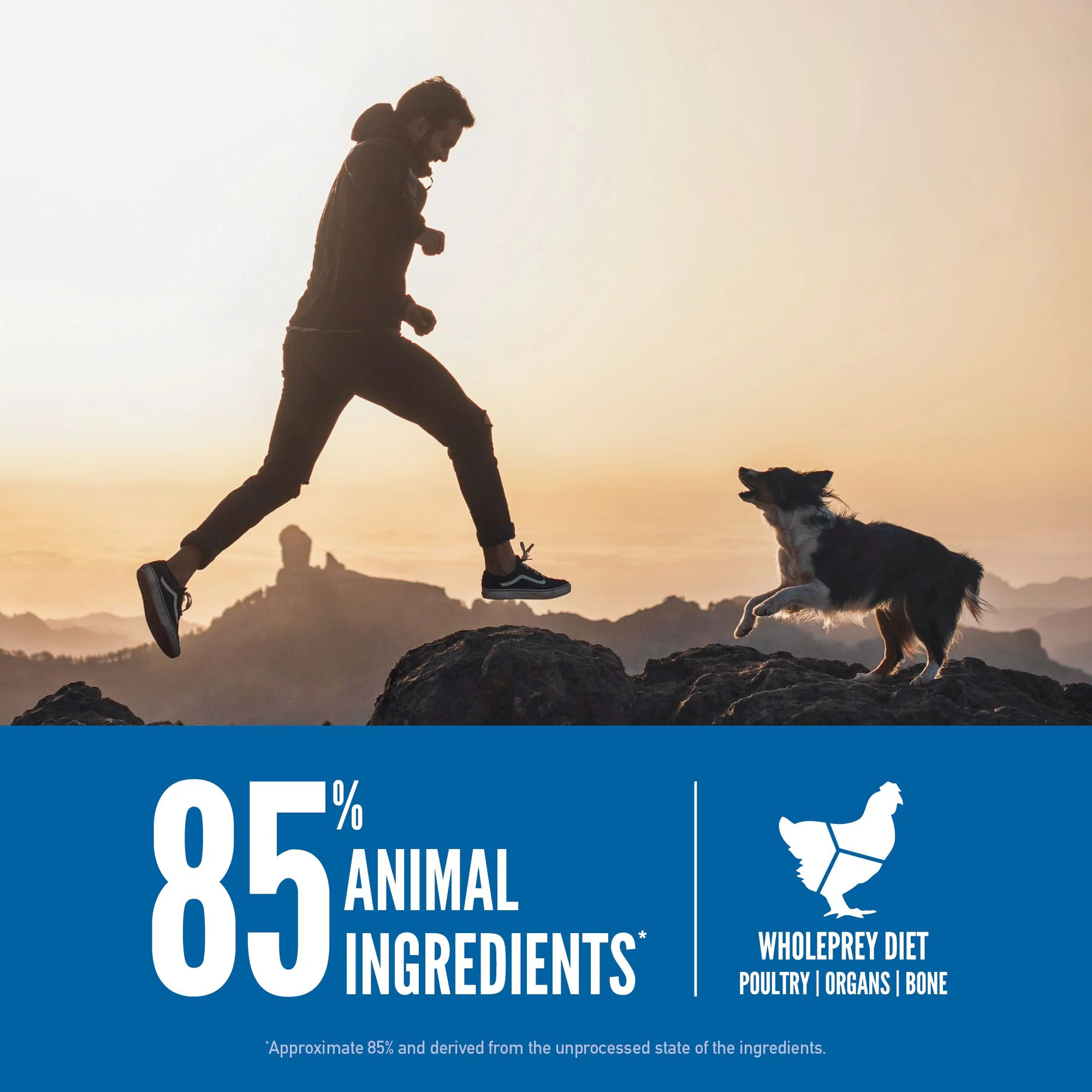 ORIJEN Original Biologically Appropriate Dry Dog Food 10.6kg - Image 7