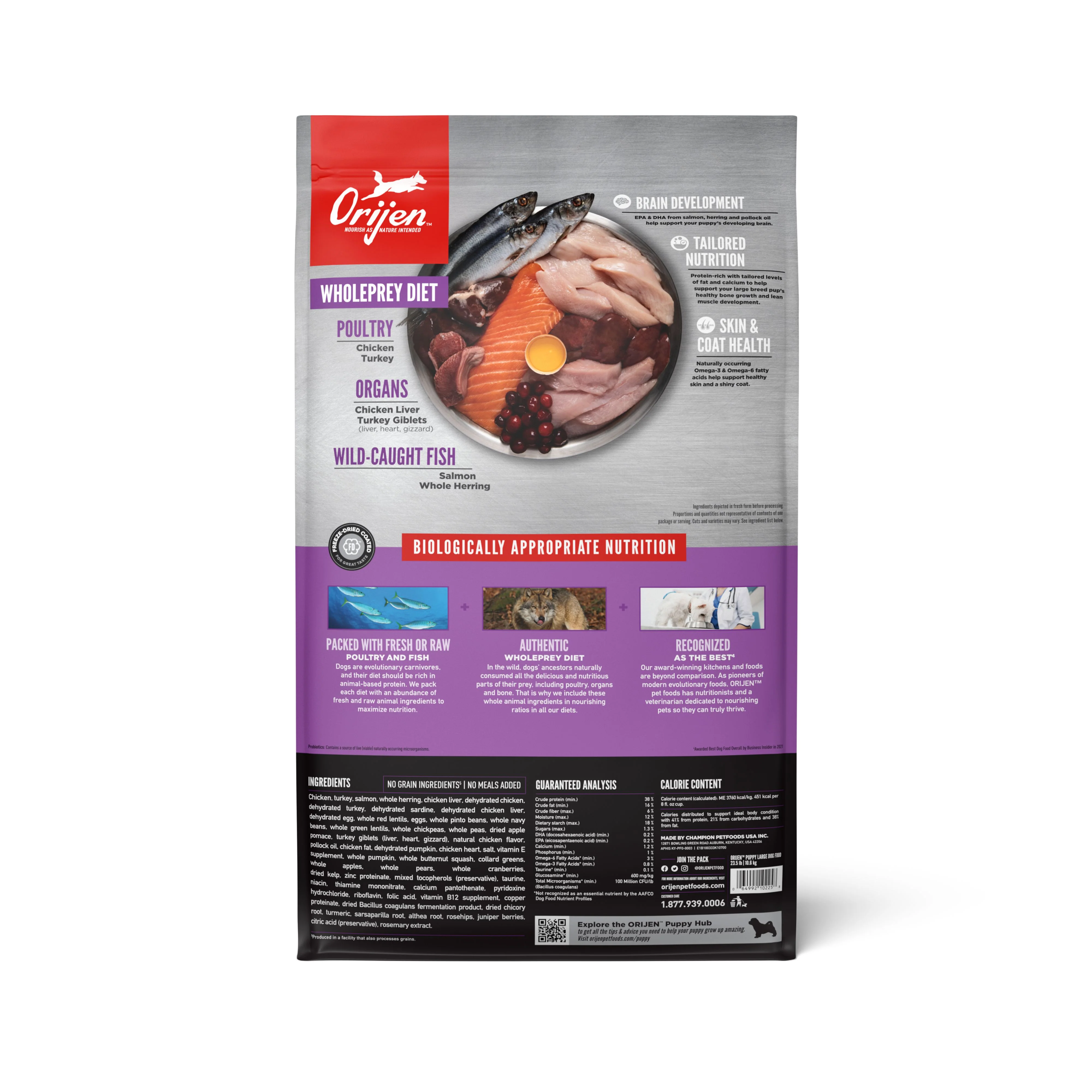 ORIJEN Puppy Large Breed Biologically Appropriate Dry Dog Food 10.6kg - Image 4