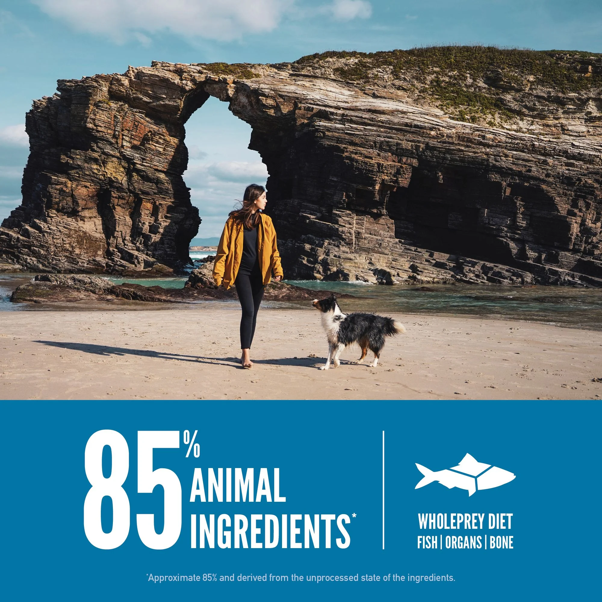 ORIJEN Six Fish Biologically Appropriate Dry Dog Food 2kg - Image 7