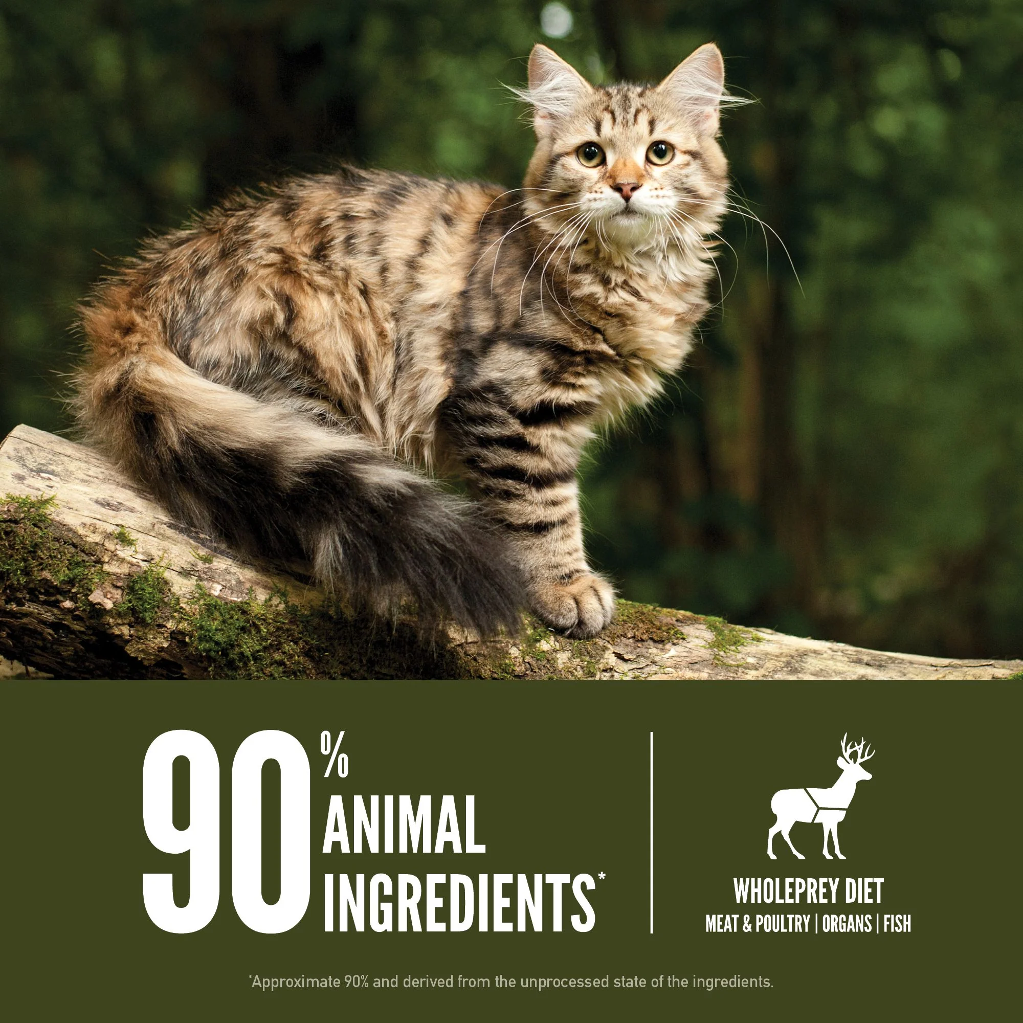 ORIJEN Tundra Biologically Appropriate Dry Cat Food 1.8kg - Image 7
