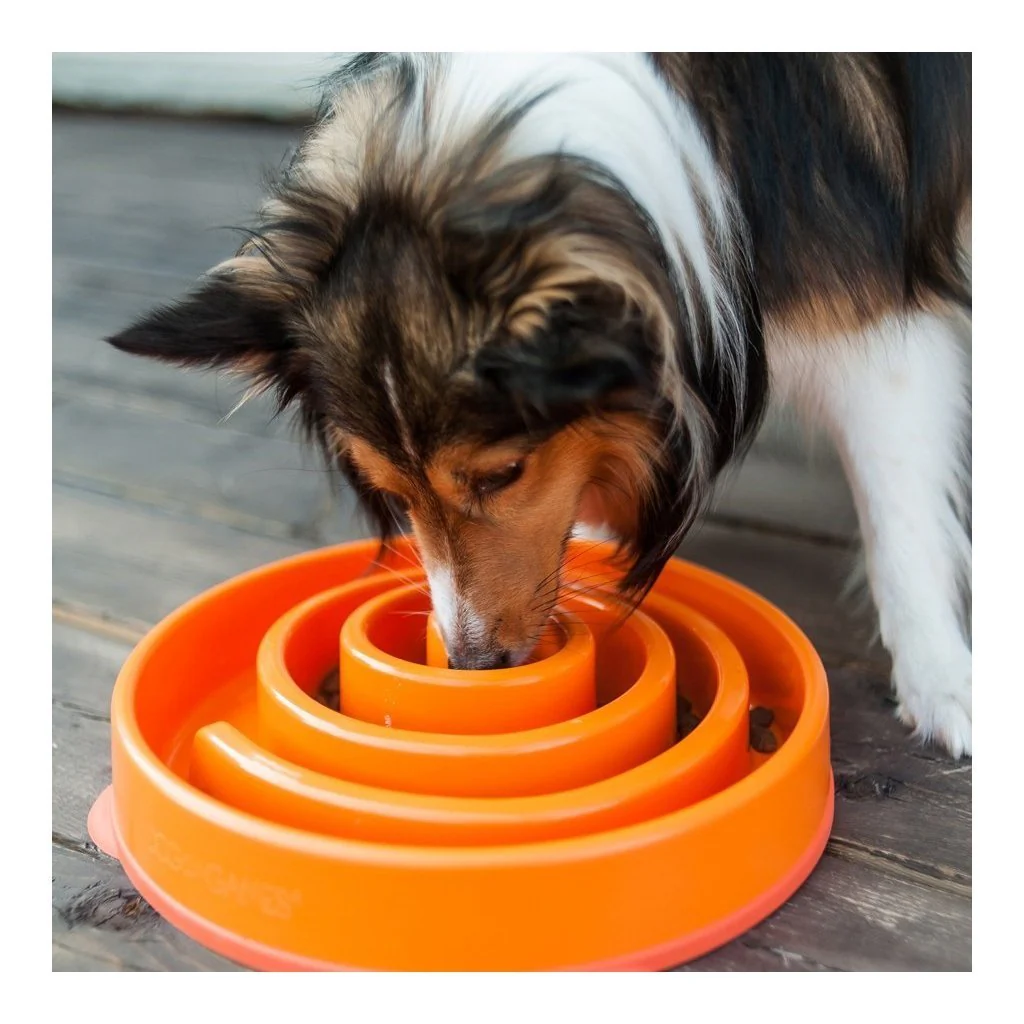 Outward Hound Fun Feeder Slo-Bowl Maze Dog Bowl Orange - Image 5