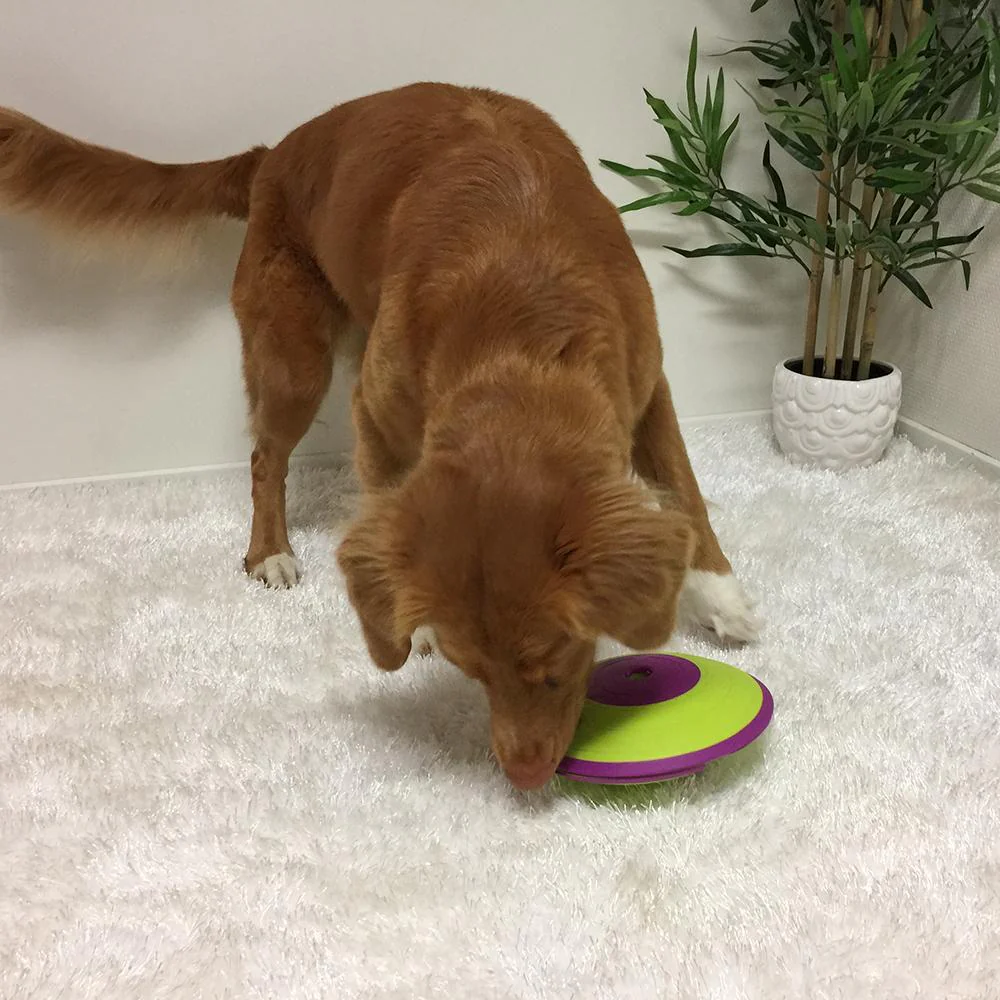 Outward Hound Nina Ottosson The Maze Puzzle Feeder Dog Toy - Image 3
