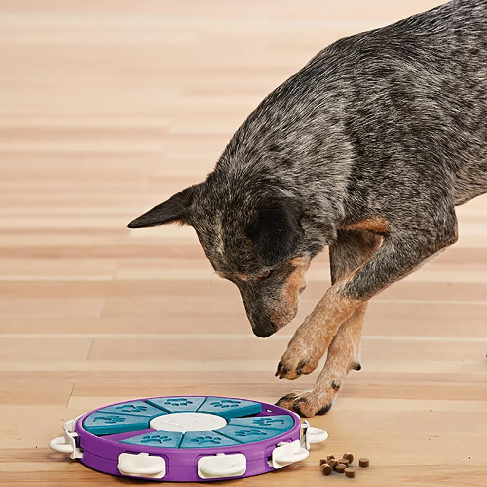 Outward Hound Nina Ottosson The Twister Puzzle Feeder Dog Toy - Image 3