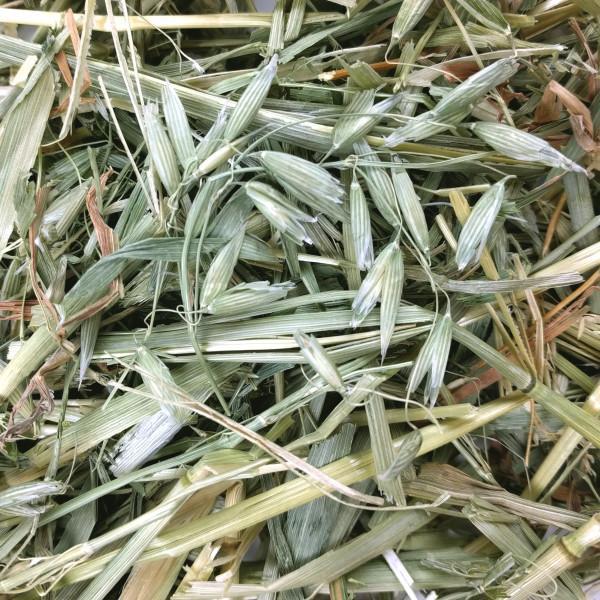 Oxbow Oat Hay 425g - Image 3