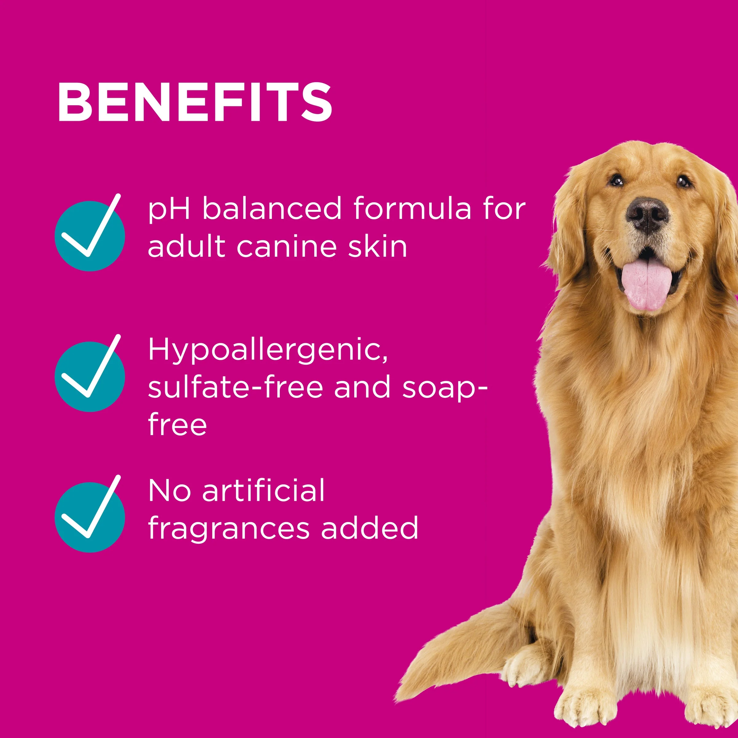 PAW by Blackmores 2-in-1 Conditioning Shampoo for Dogs 500ml - Image 4